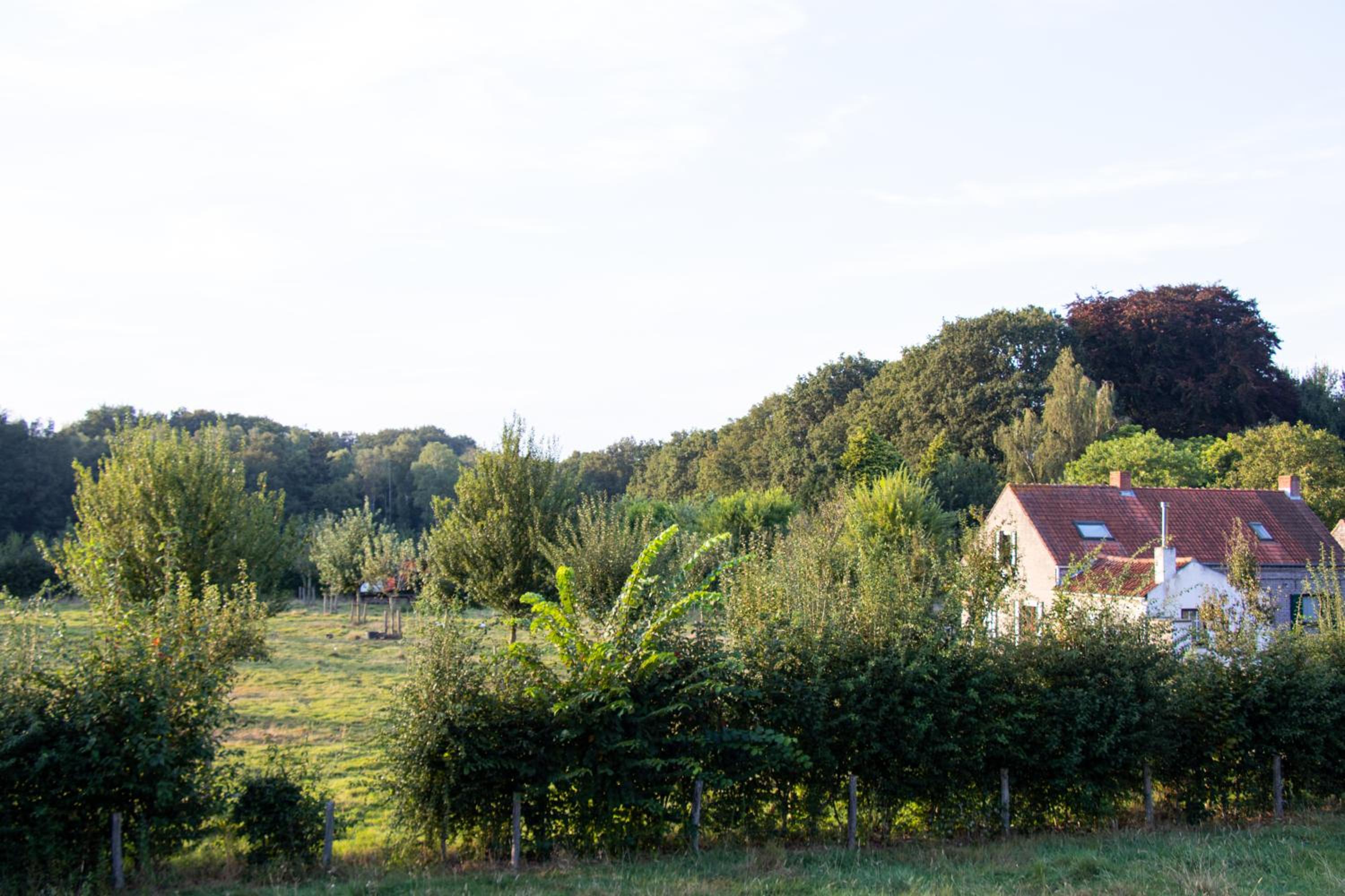 Tiny House in the Nature of Bruges