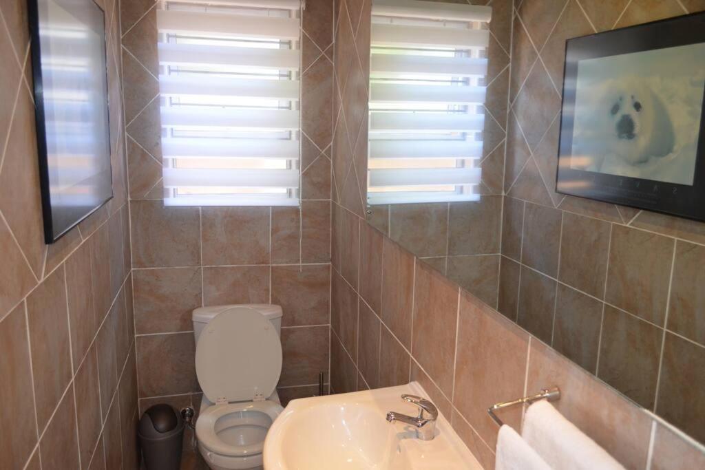 Whale Tale Dolphin Blue Sleeps 2 view 5