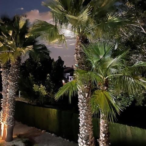 Azahar