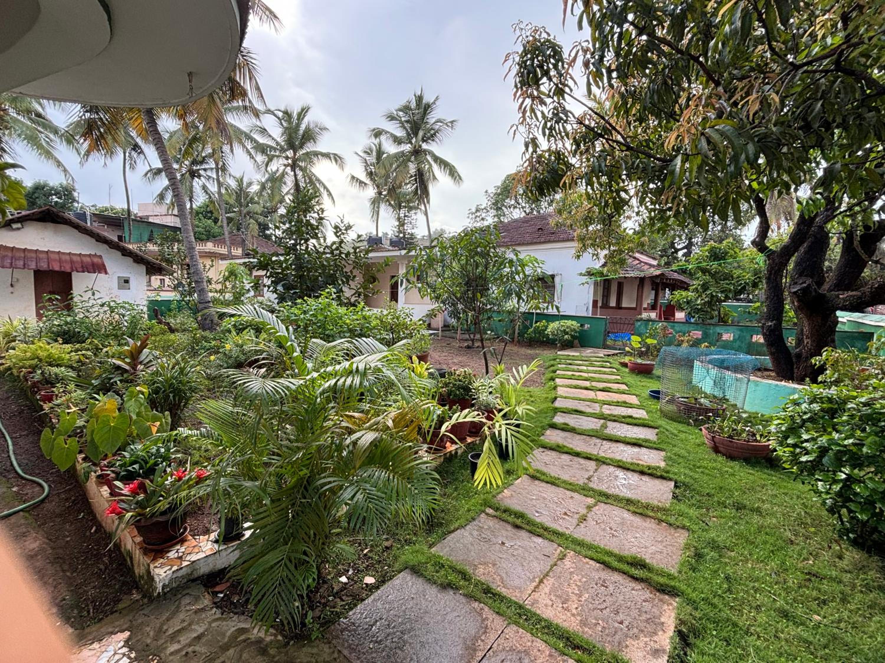 Angelina guest house, Anjuna Beach Road