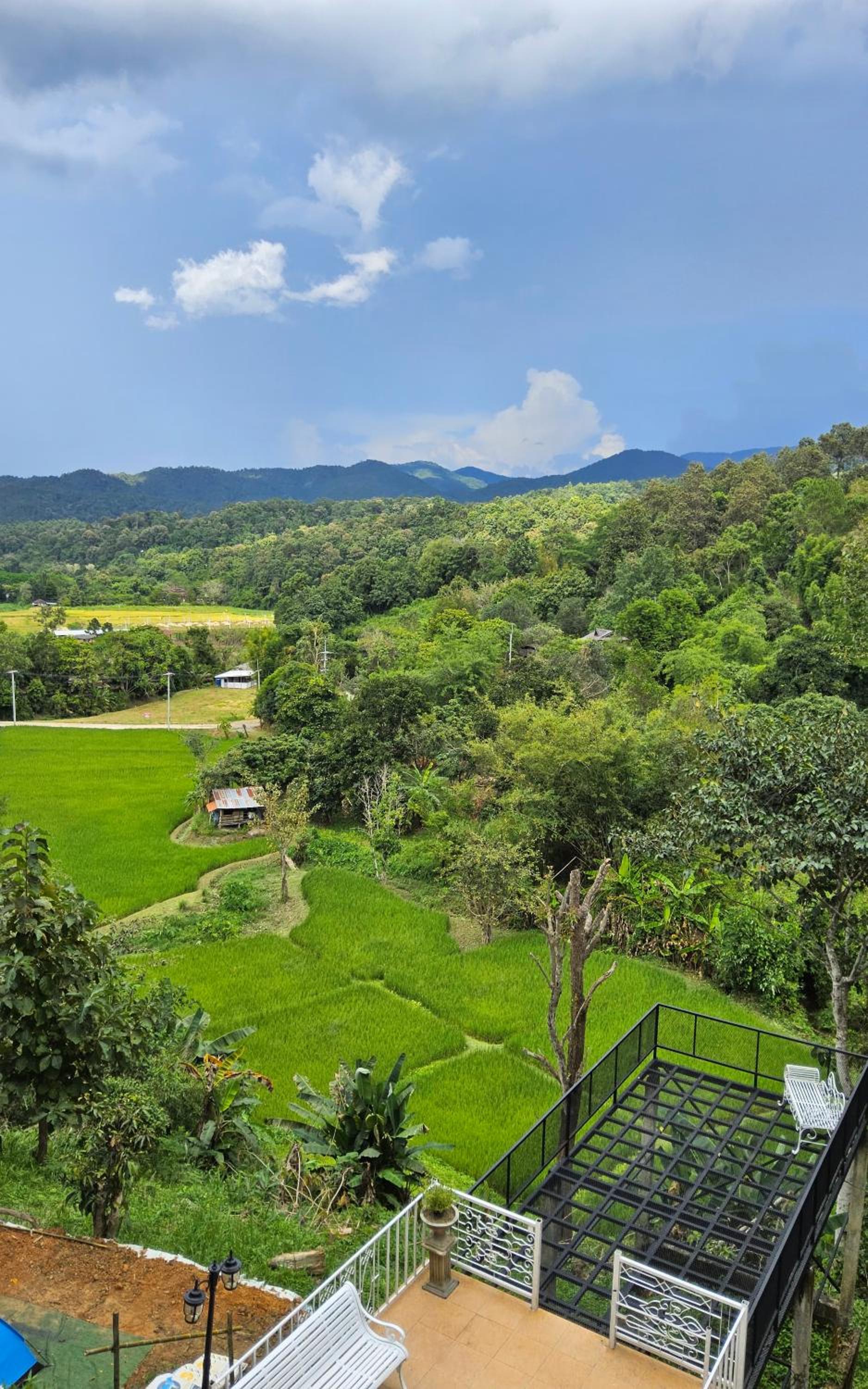 Balmy Hideout Cafe & Homestay