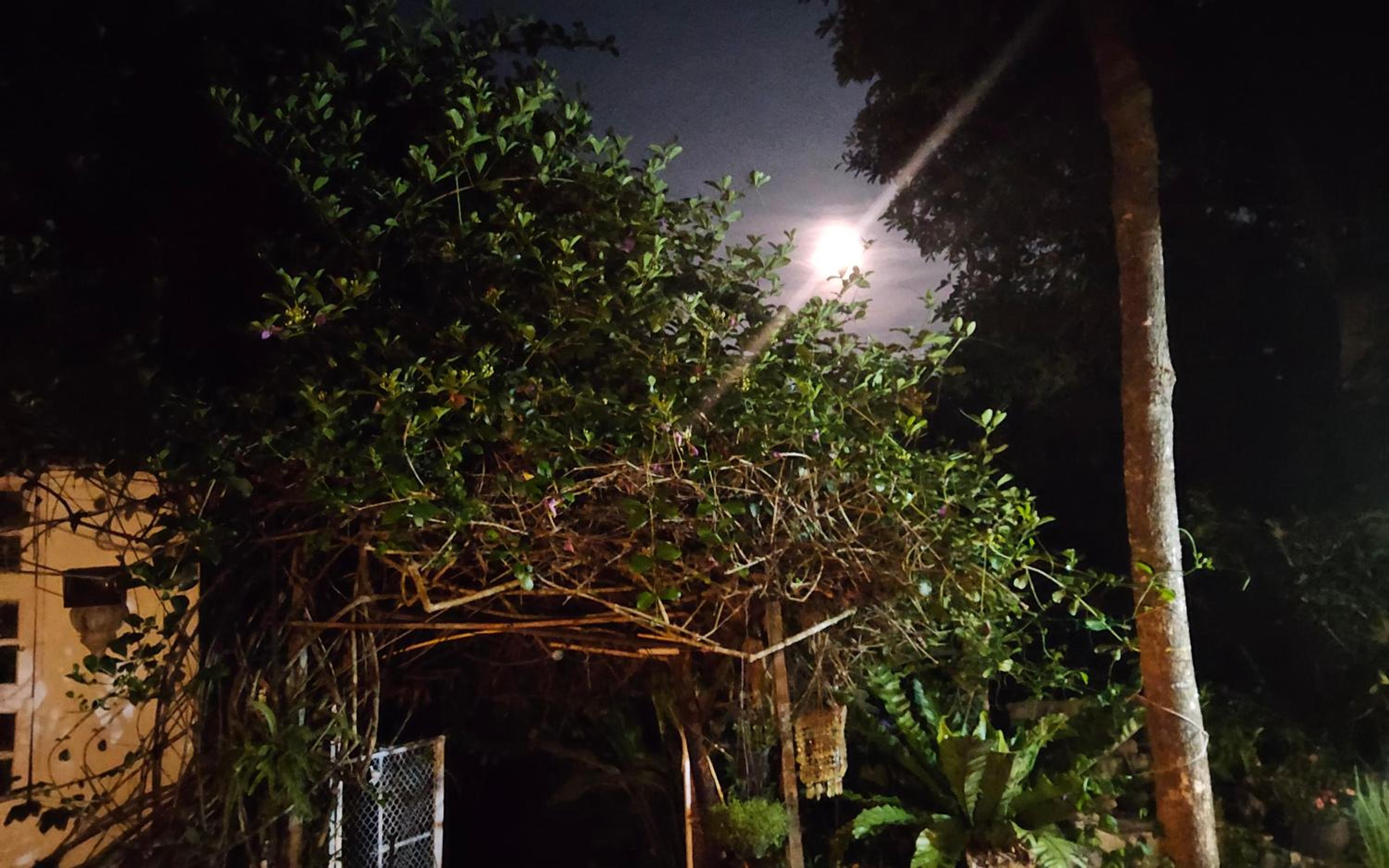 Balmy Hideout Cafe & Homestay