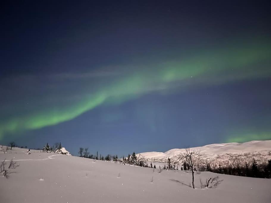 Eide Aurora Apartement
