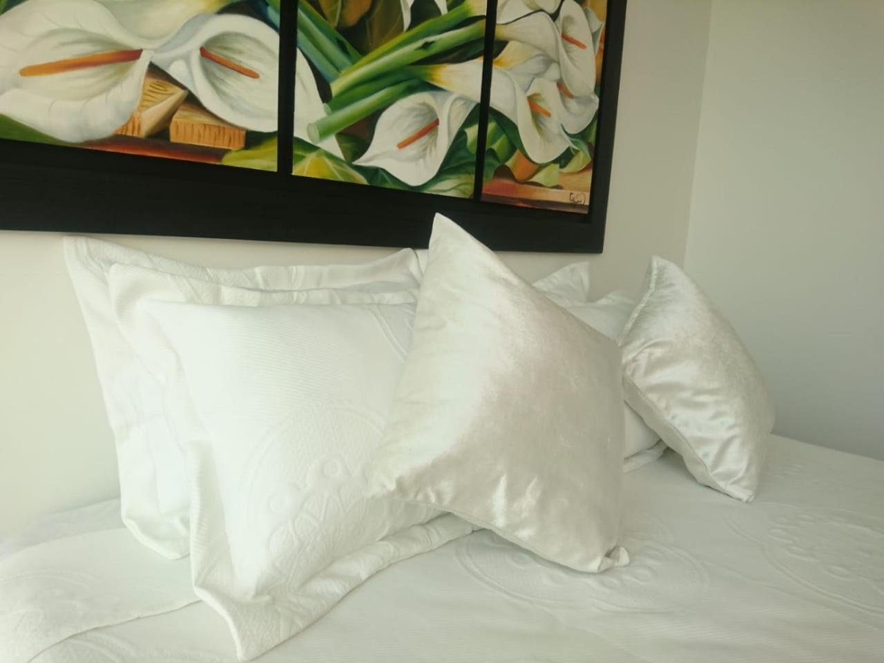 Palmetto Elíptic con buena vista al mar Cartagena