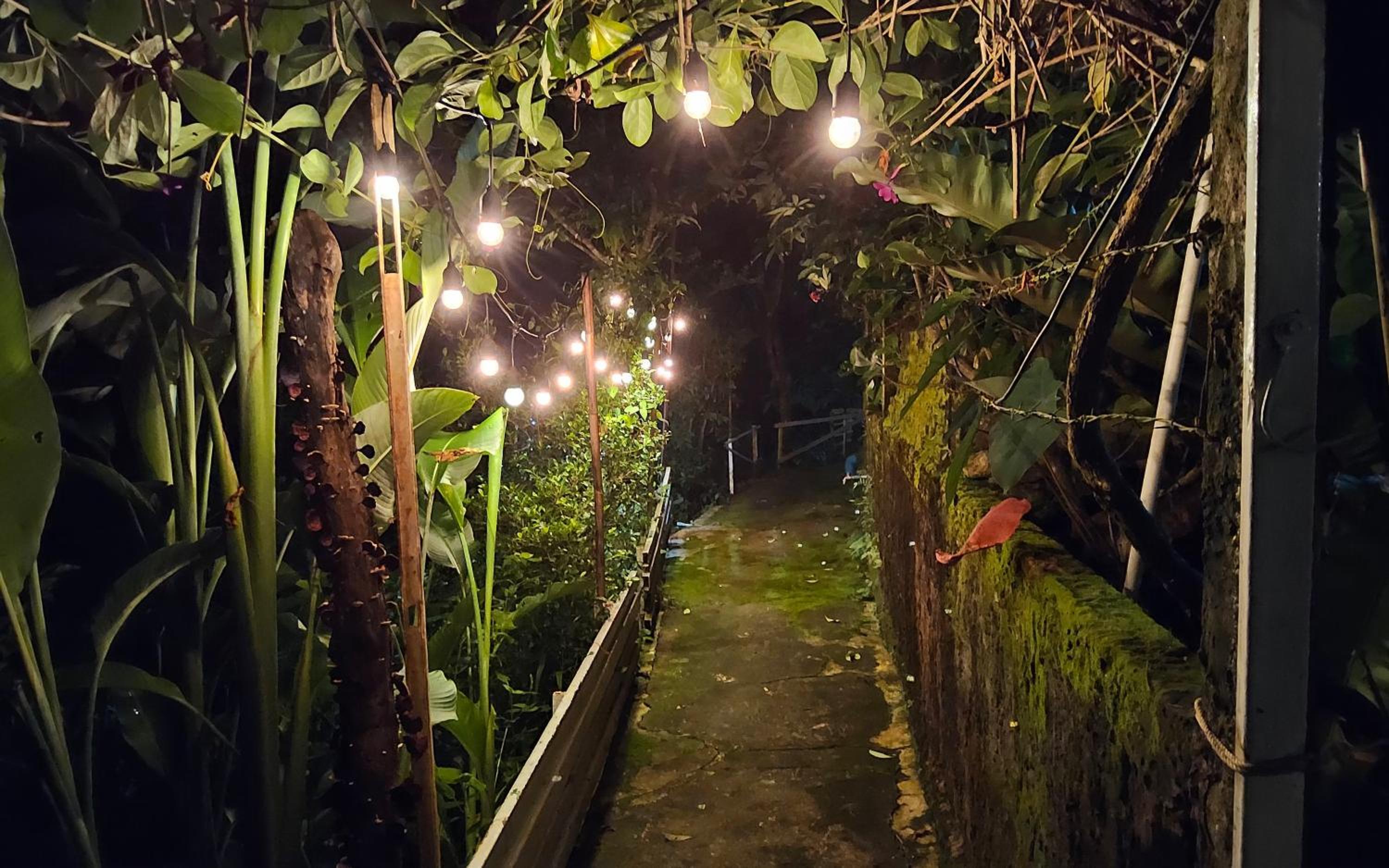 Balmy Hideout Cafe & Homestay