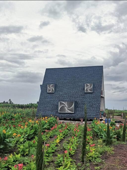 Nisarg farm villa view 2