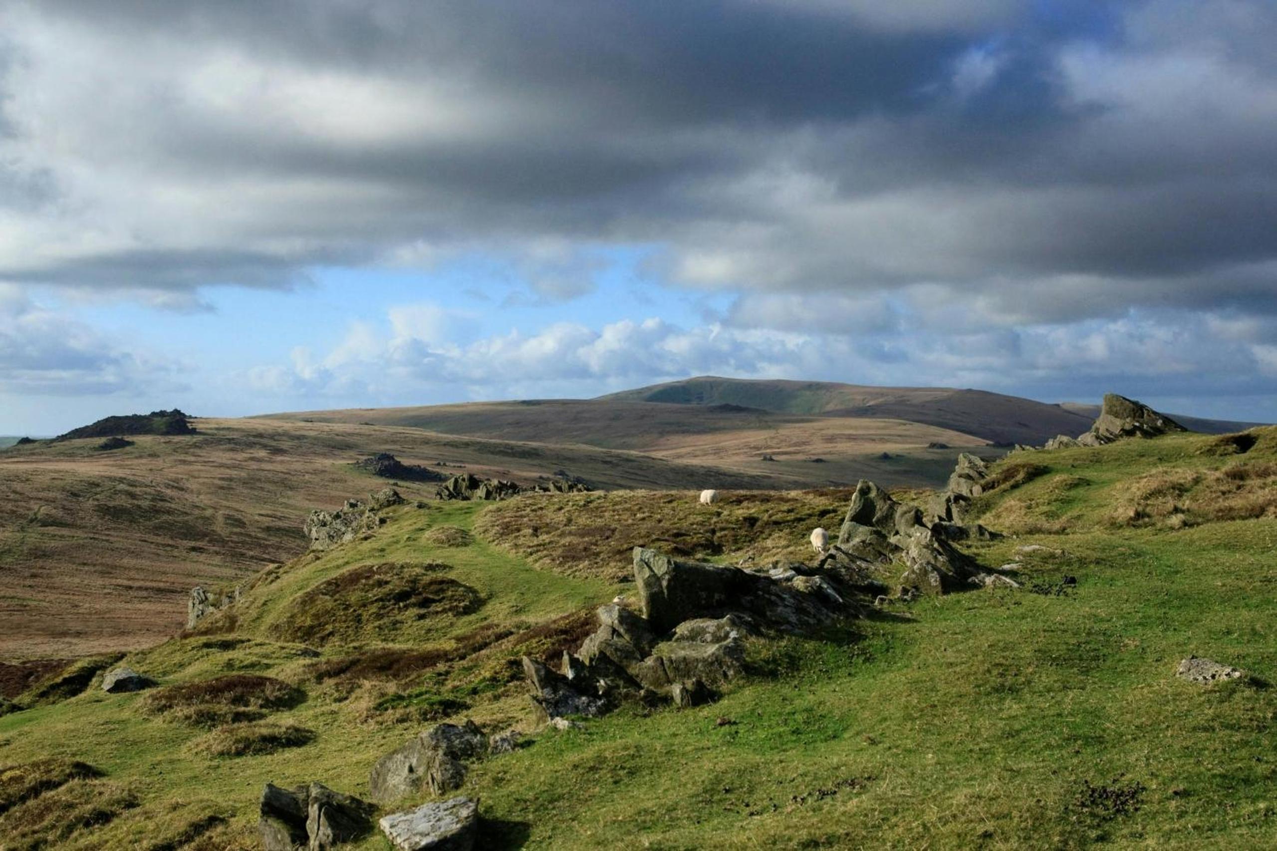 Caer-uchedydd Llanfyrnach