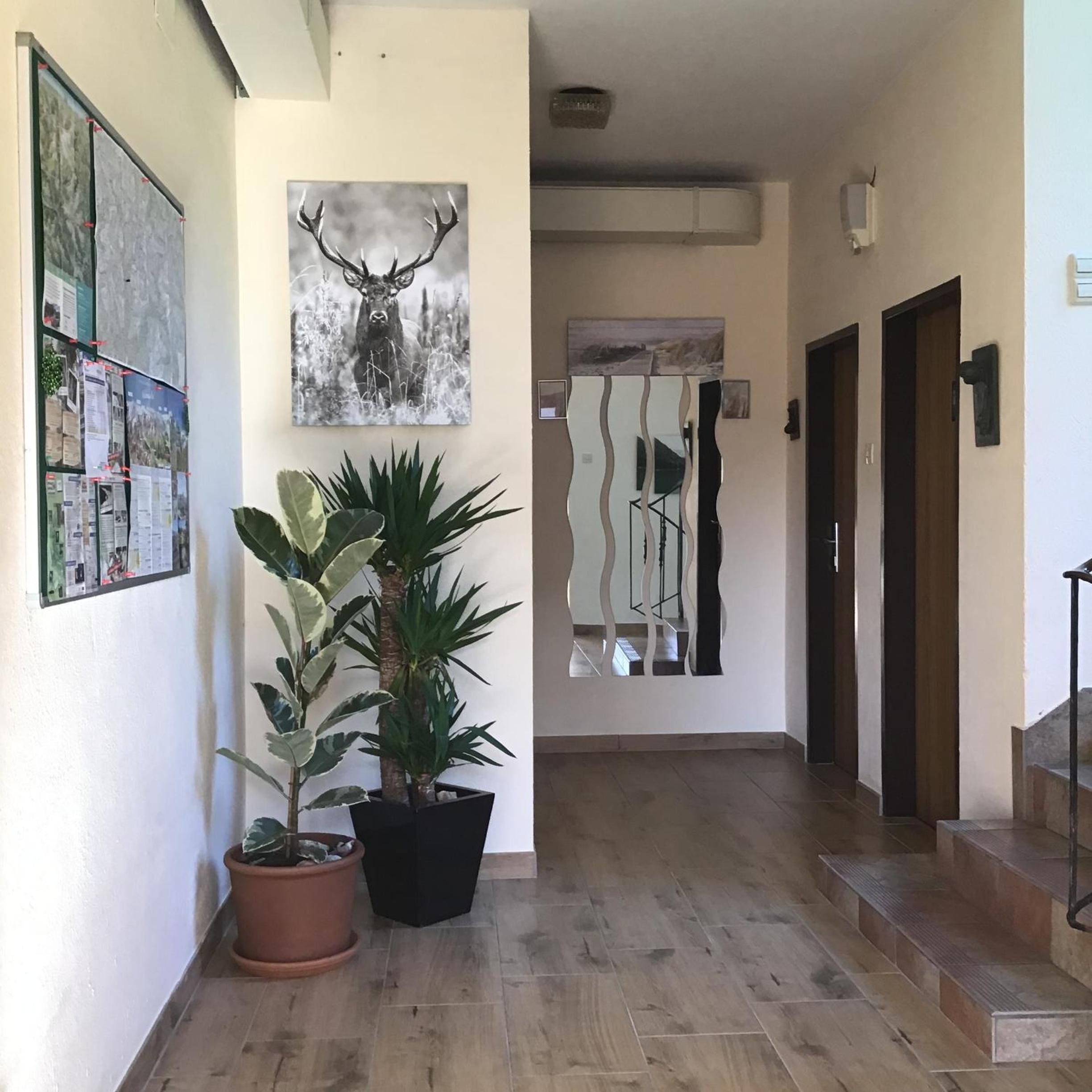 Guesthouse Mountain View