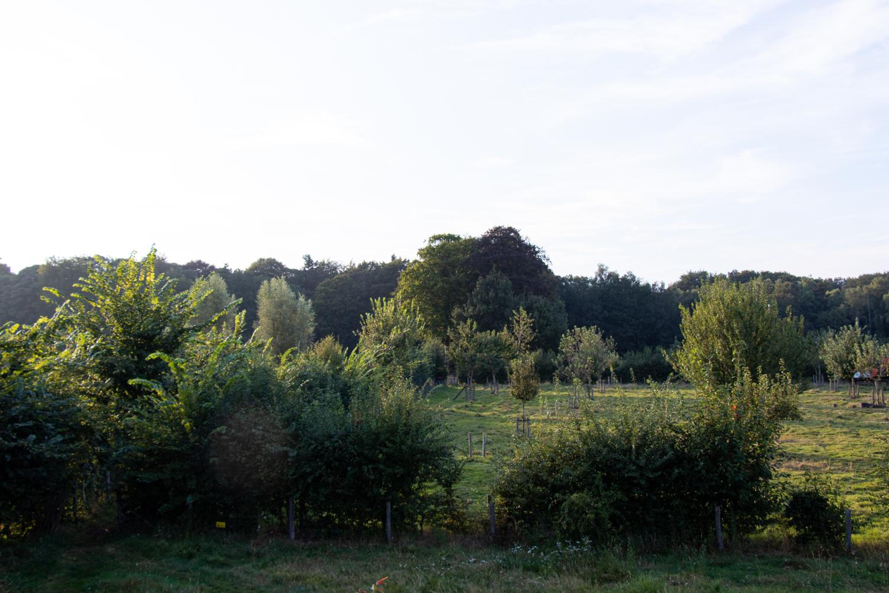 Tiny House in the Nature of Bruges