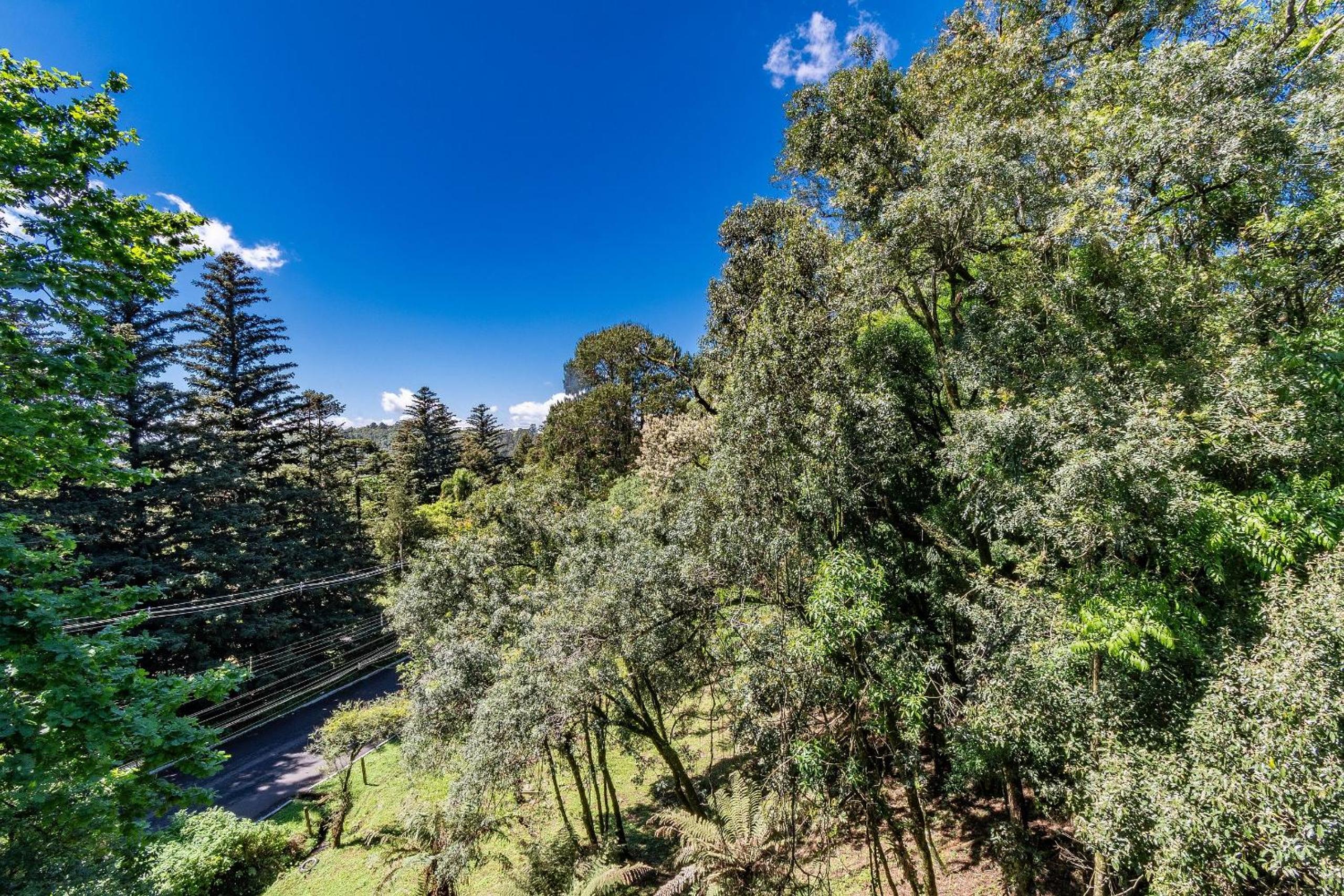 Rosa Residencial Gruner Berg