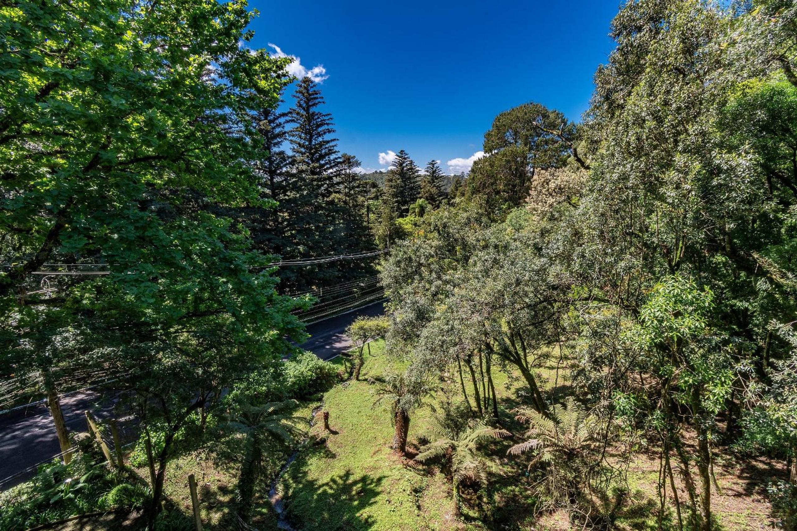 Rosa Residencial Gruner Berg