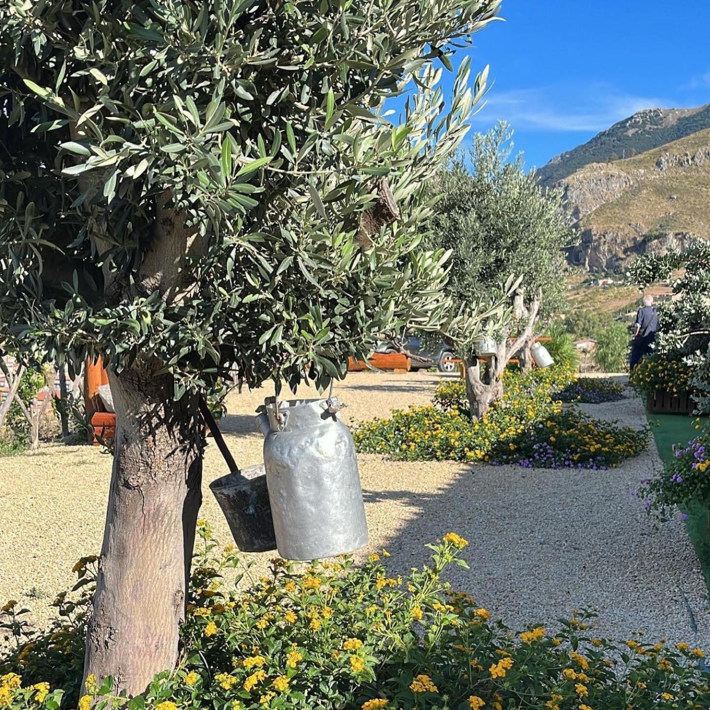 Agriturismo Dispenza