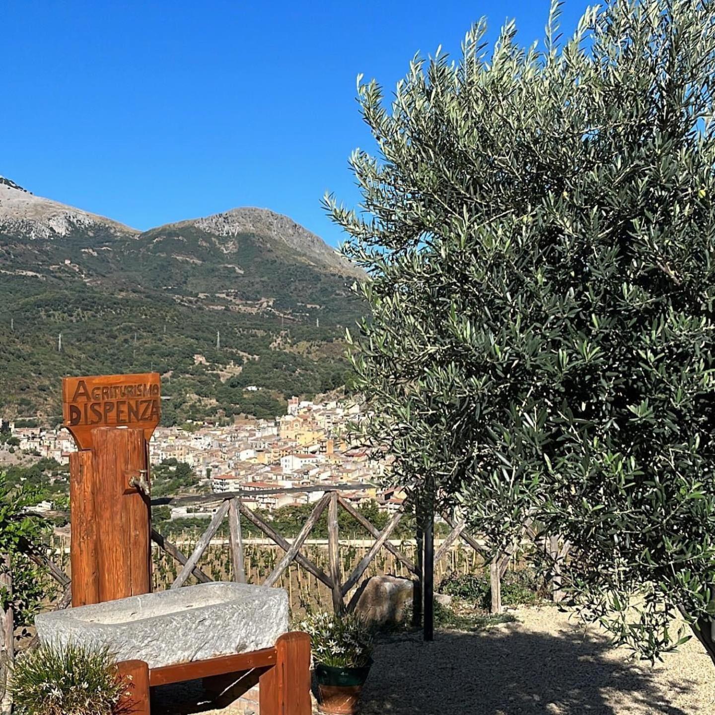 Agriturismo Dispenza