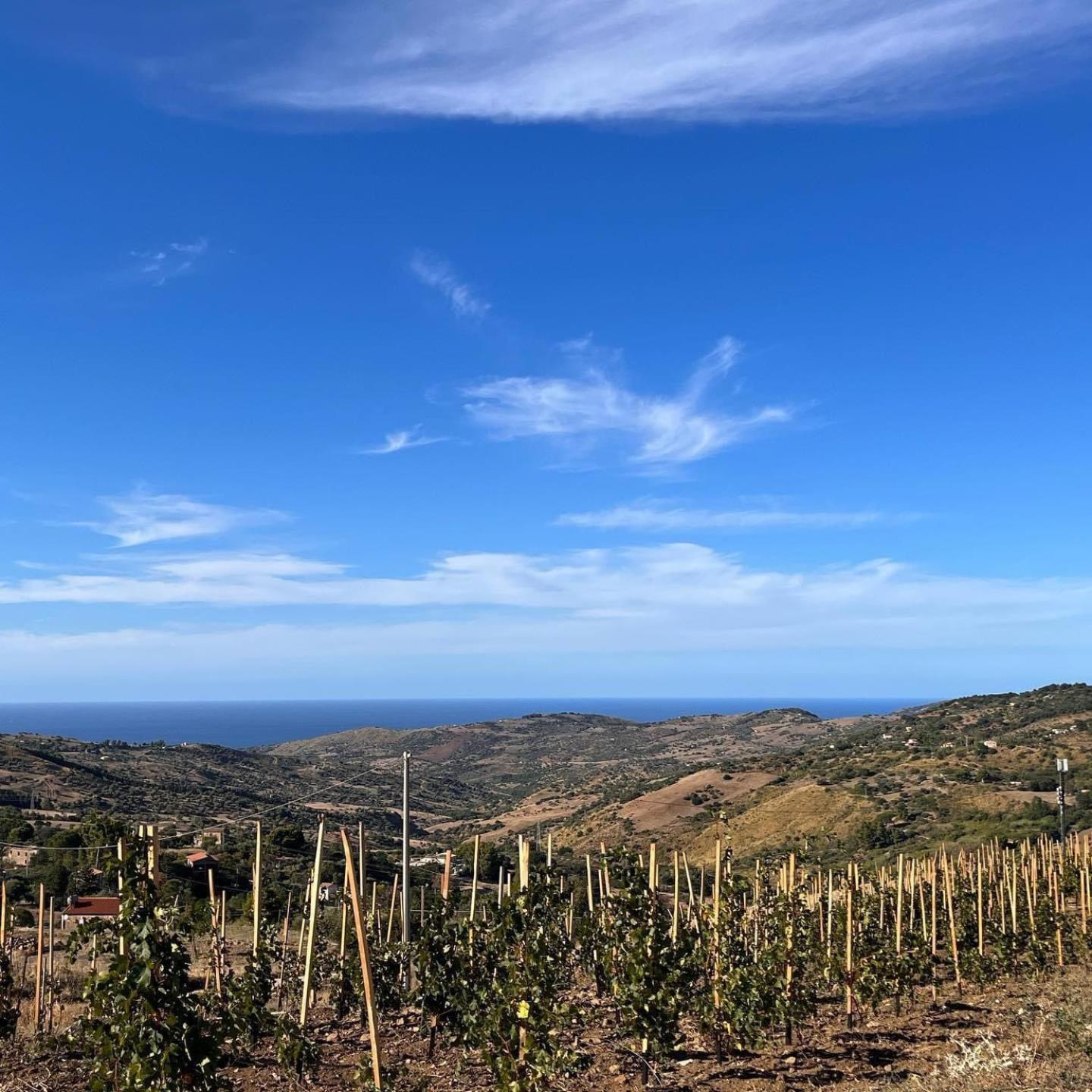 Agriturismo Dispenza