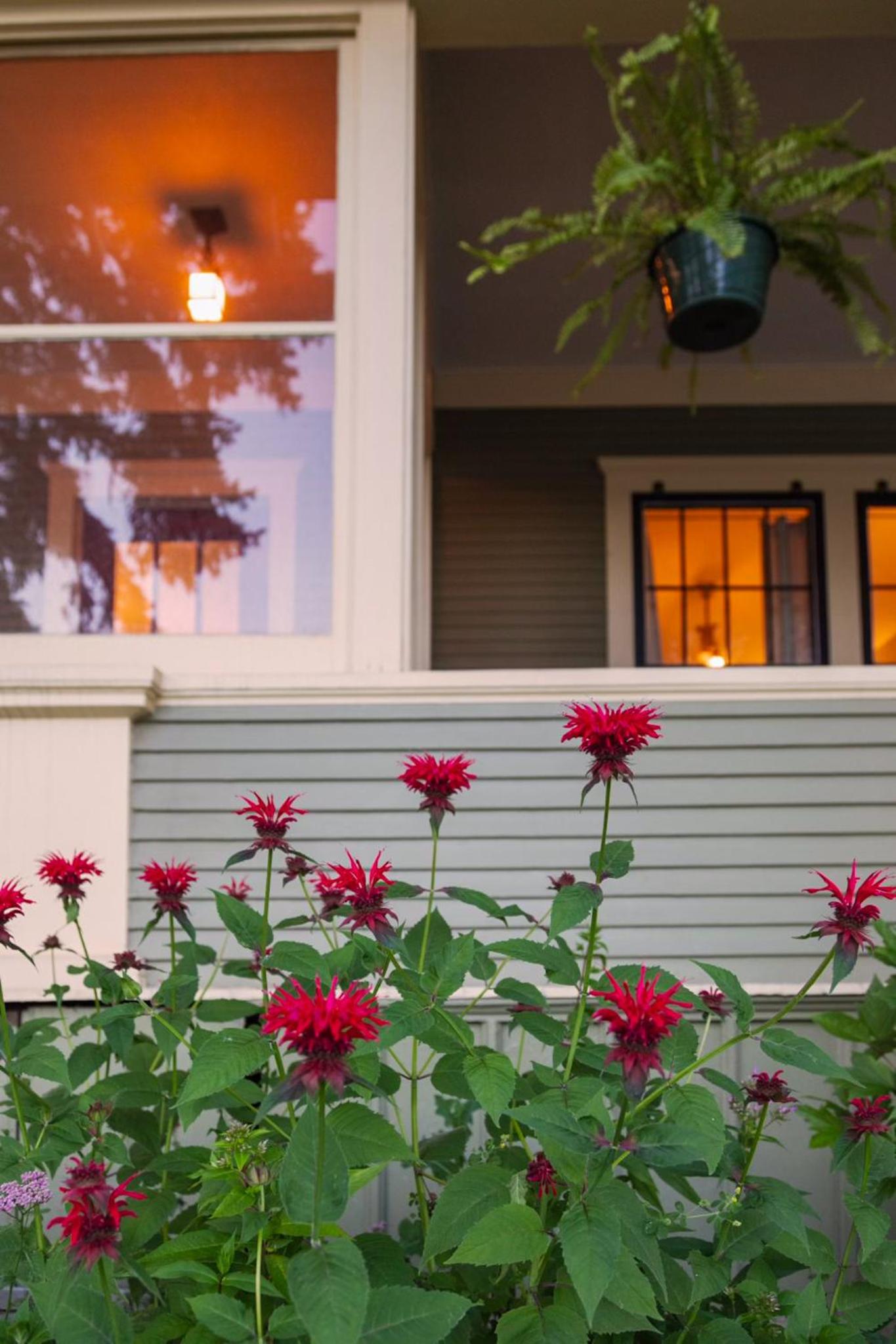 The Historic Benham-Johnston Bungalow view 5