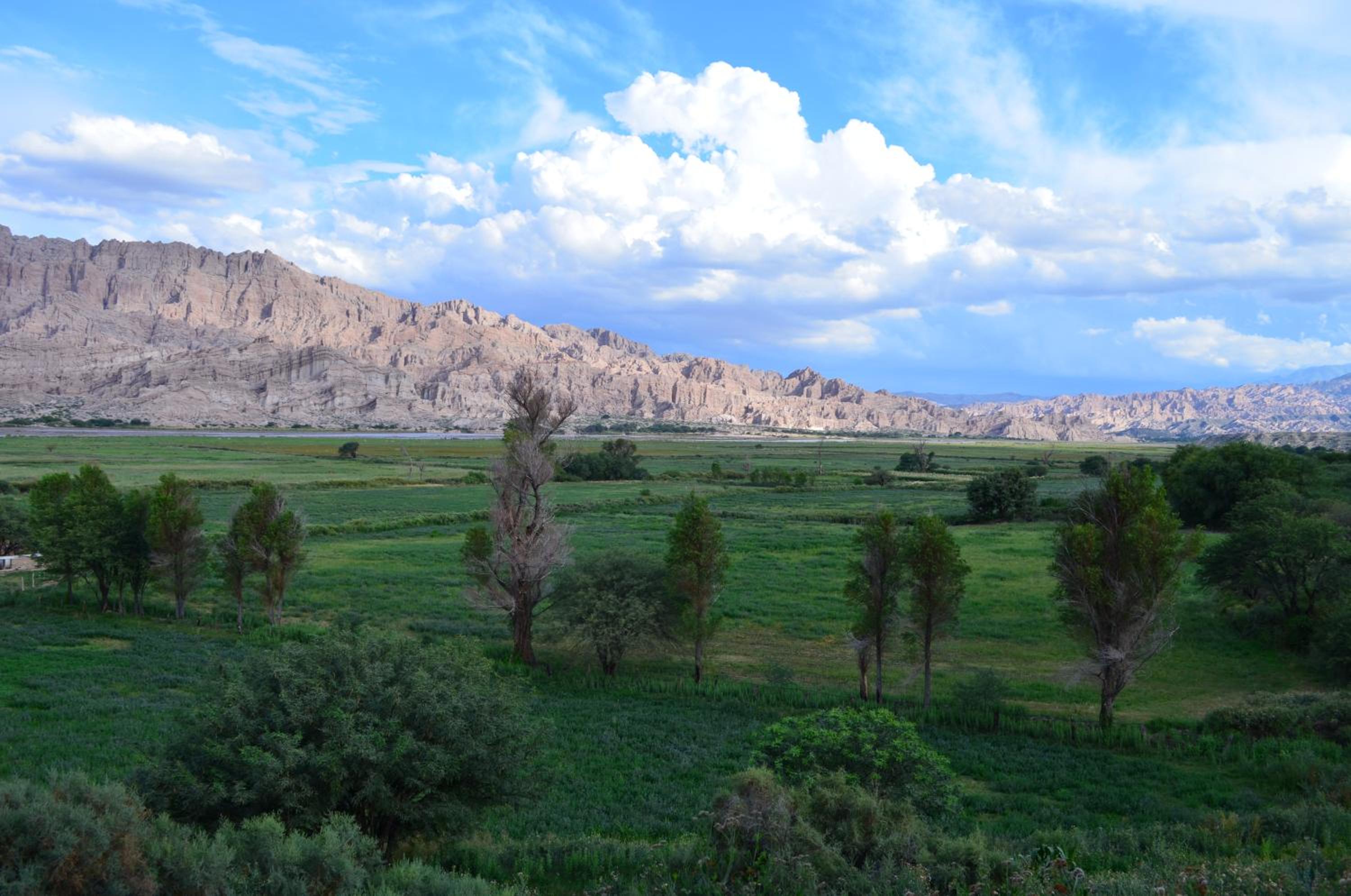 Finca El Carmen