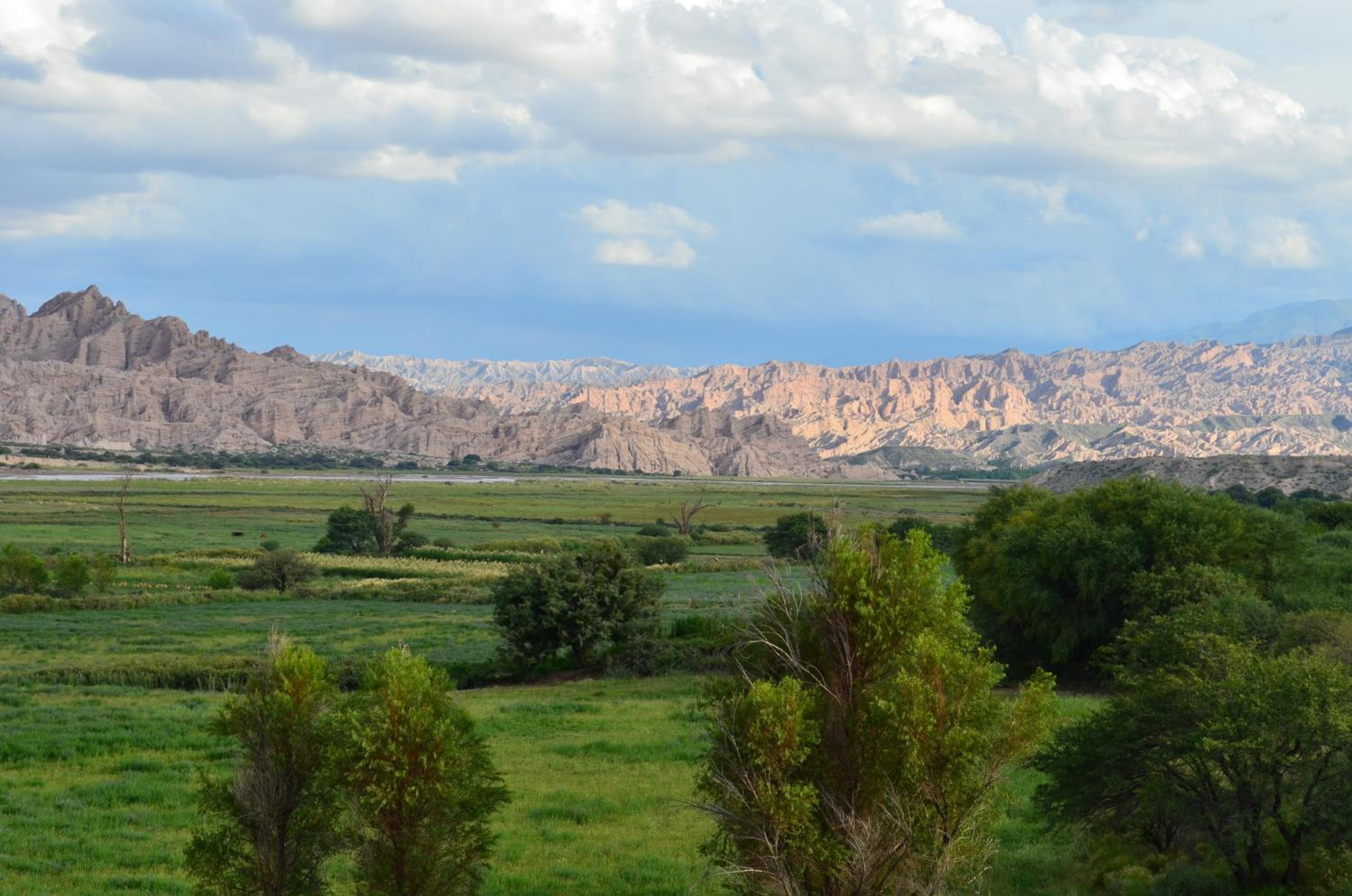 Finca El Carmen