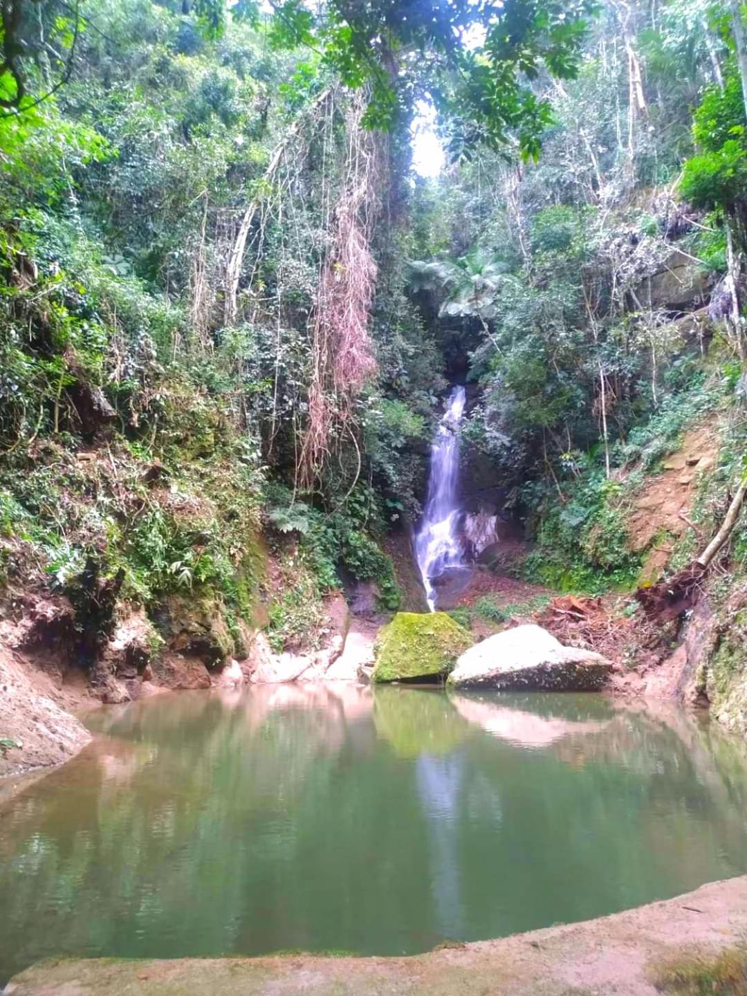 sítio montanha