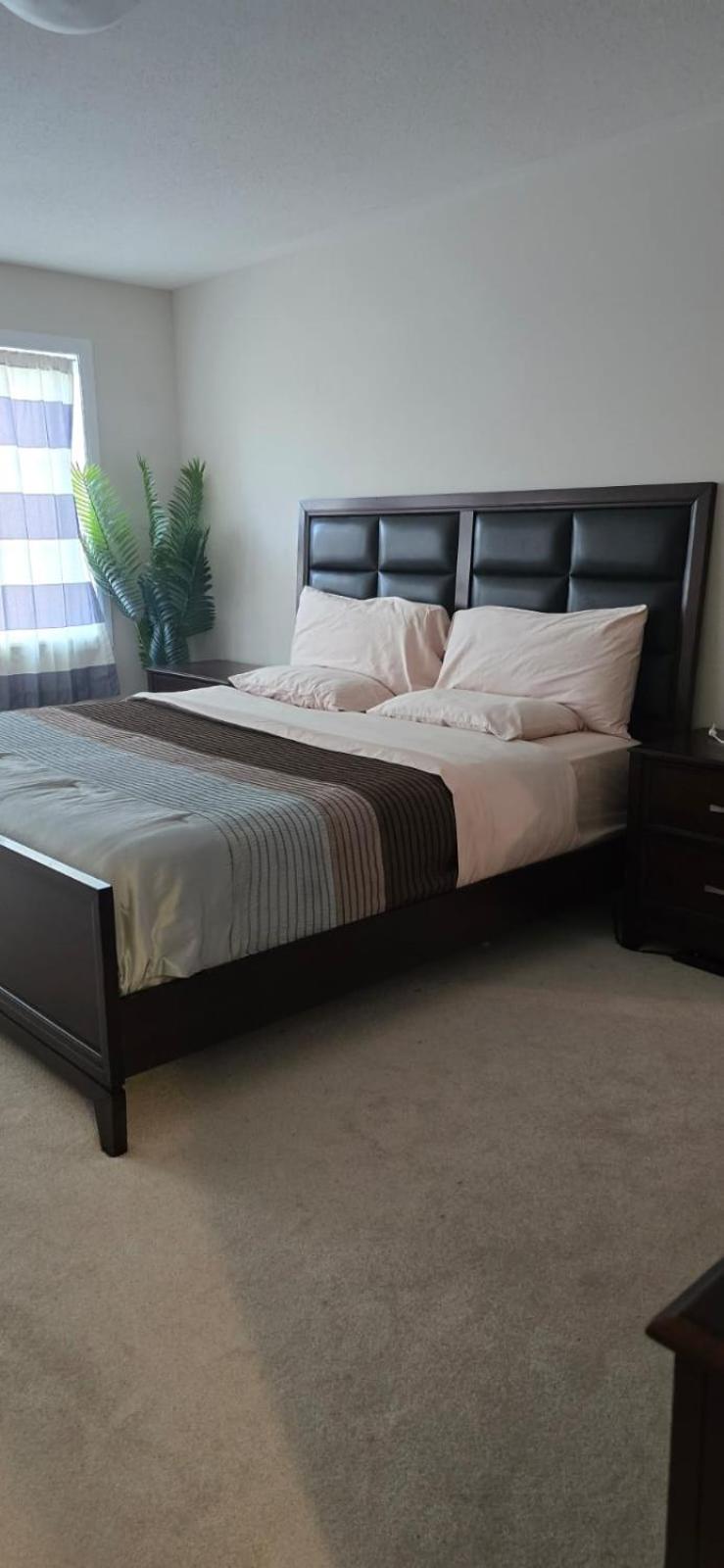 Pearl Properties