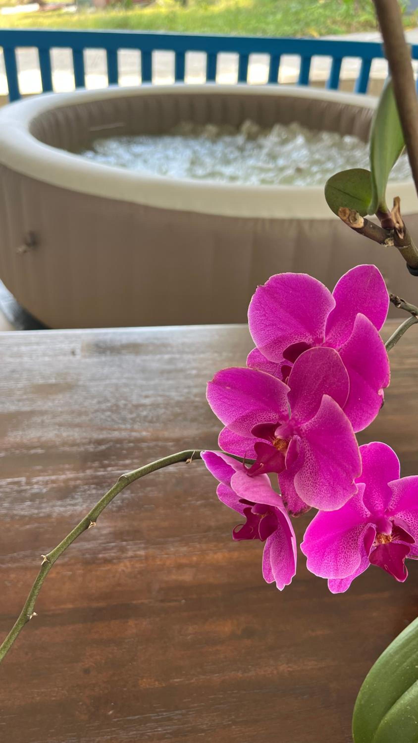 Hotel Blue Home2 T3 meublé à Matoury pour 1 à 6 voyageurs. - Image 1