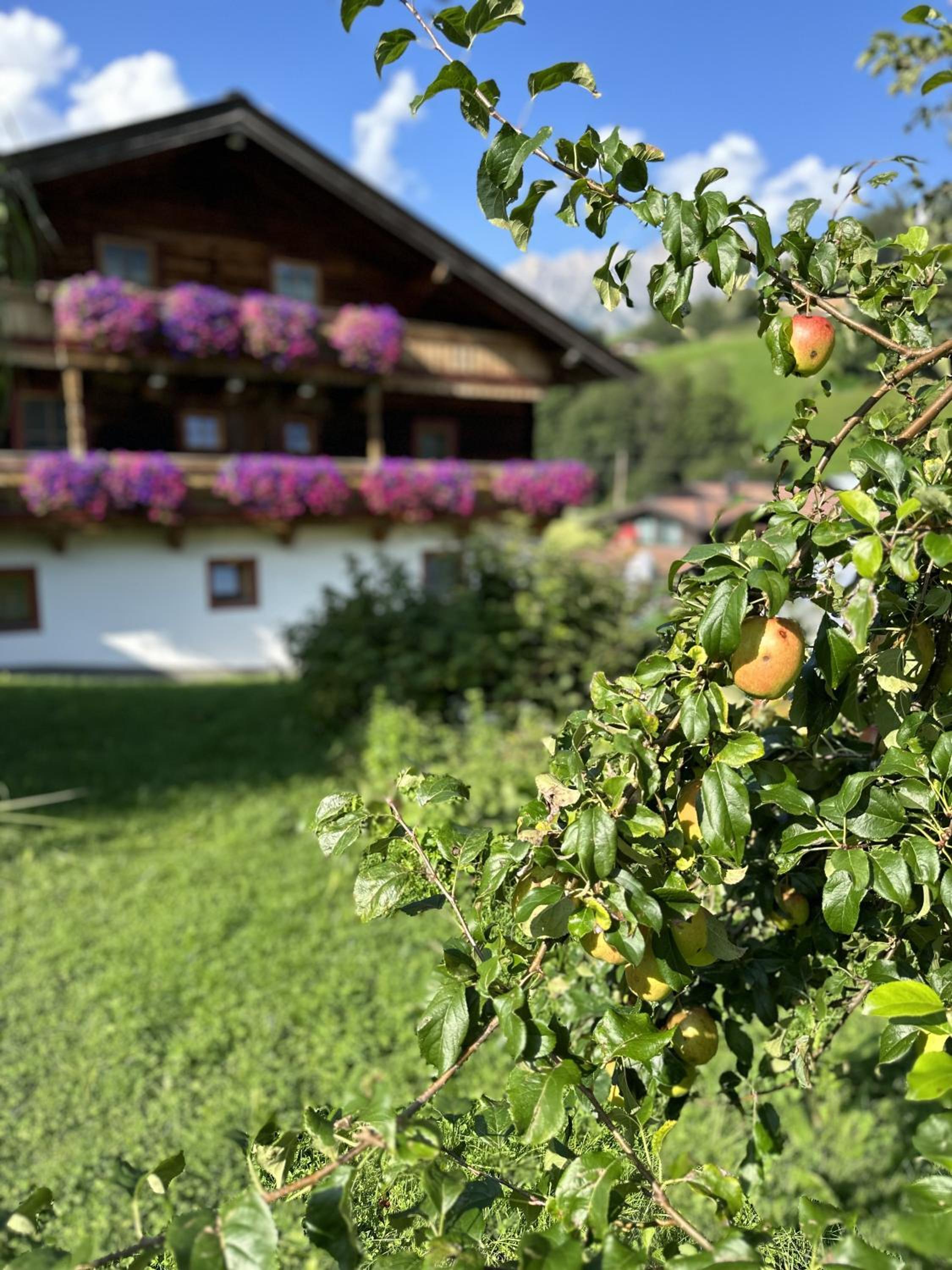 Ferienwohnung Steinernes Meer