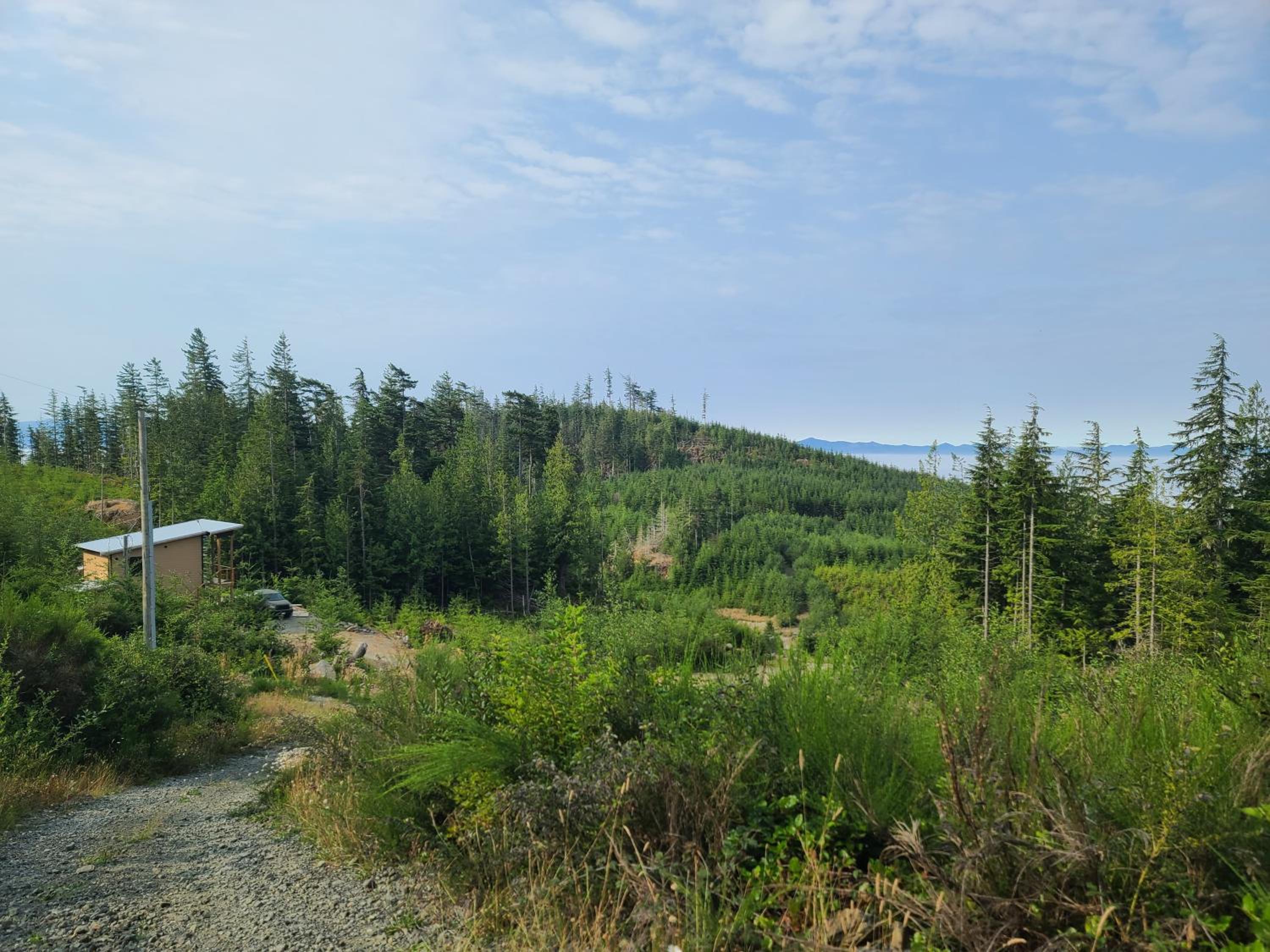 Funky Forest Bnb