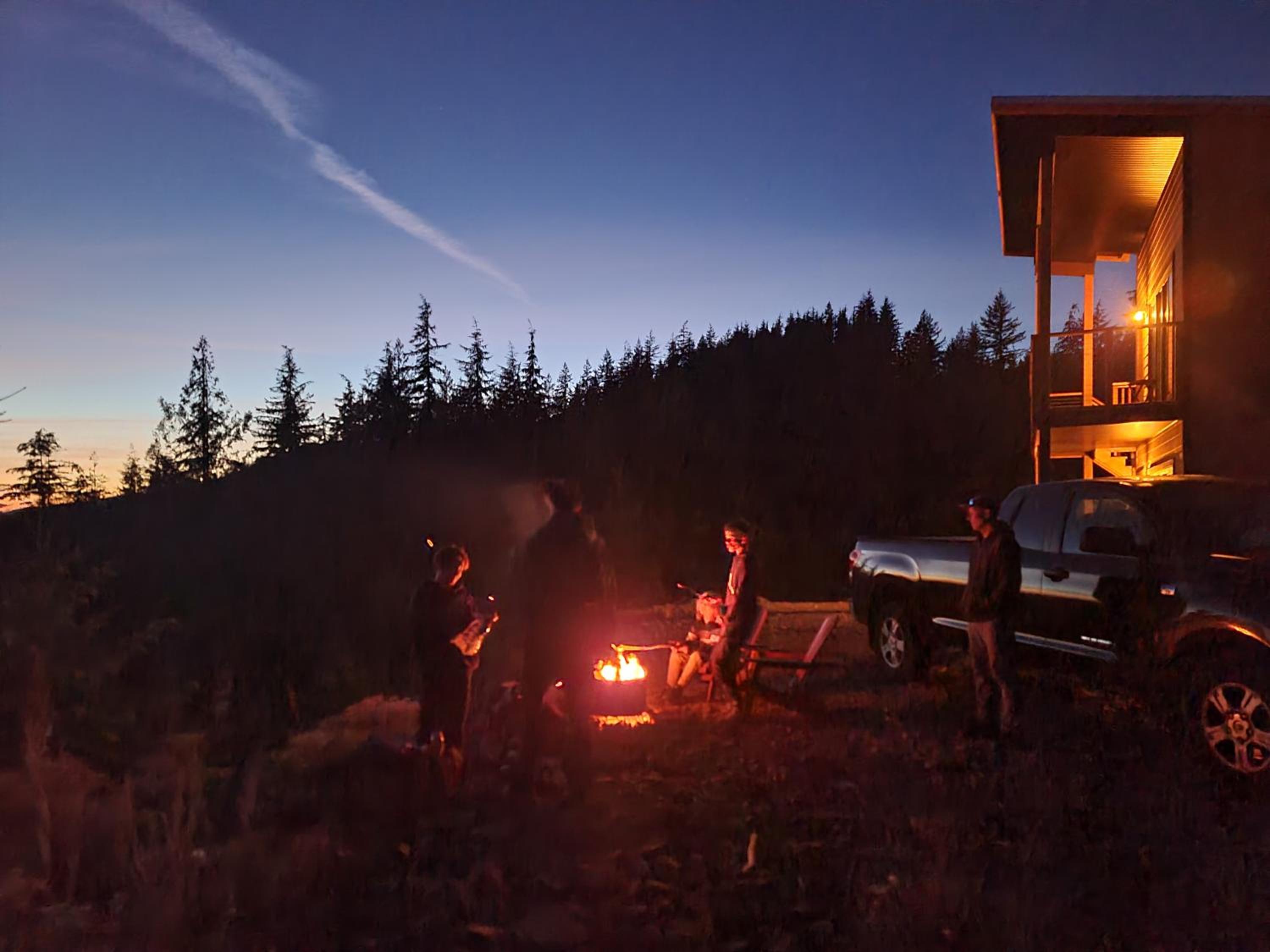 Funky Forest Bnb