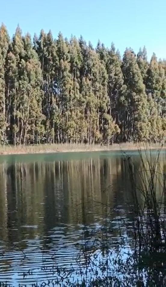 Alojamiento en Valdivia Central