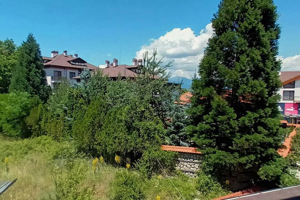 Friendly apartment -top location