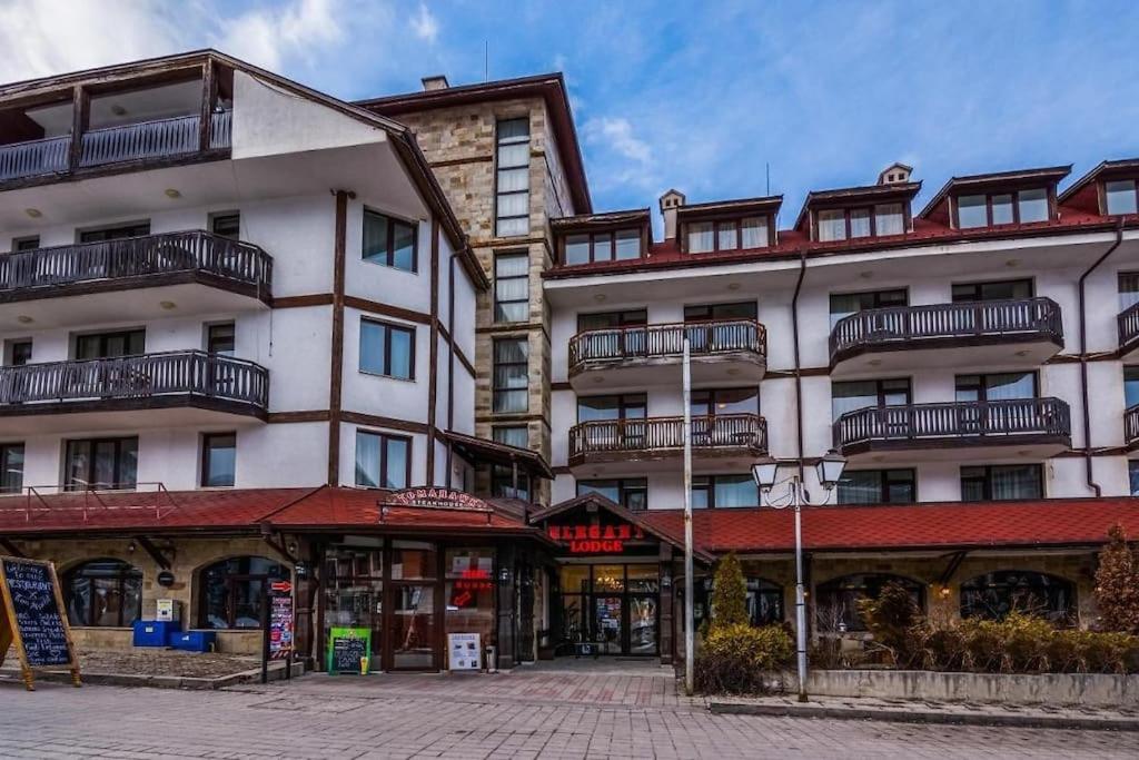 Friendly apartment -top location