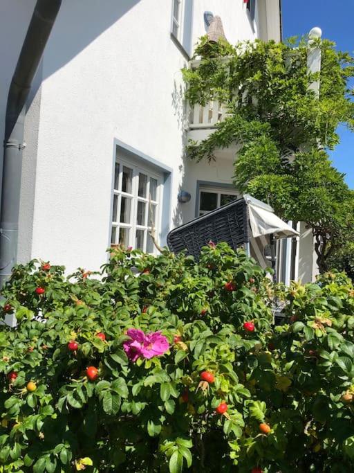 Ferienhaus Sturmmöwe Müggenburg