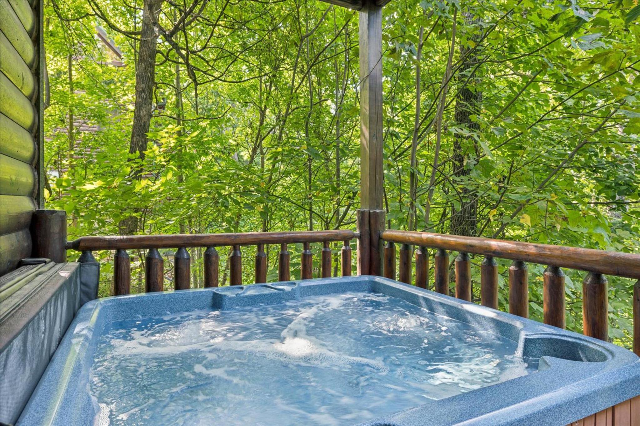Sleepy Willow Cabin view 4