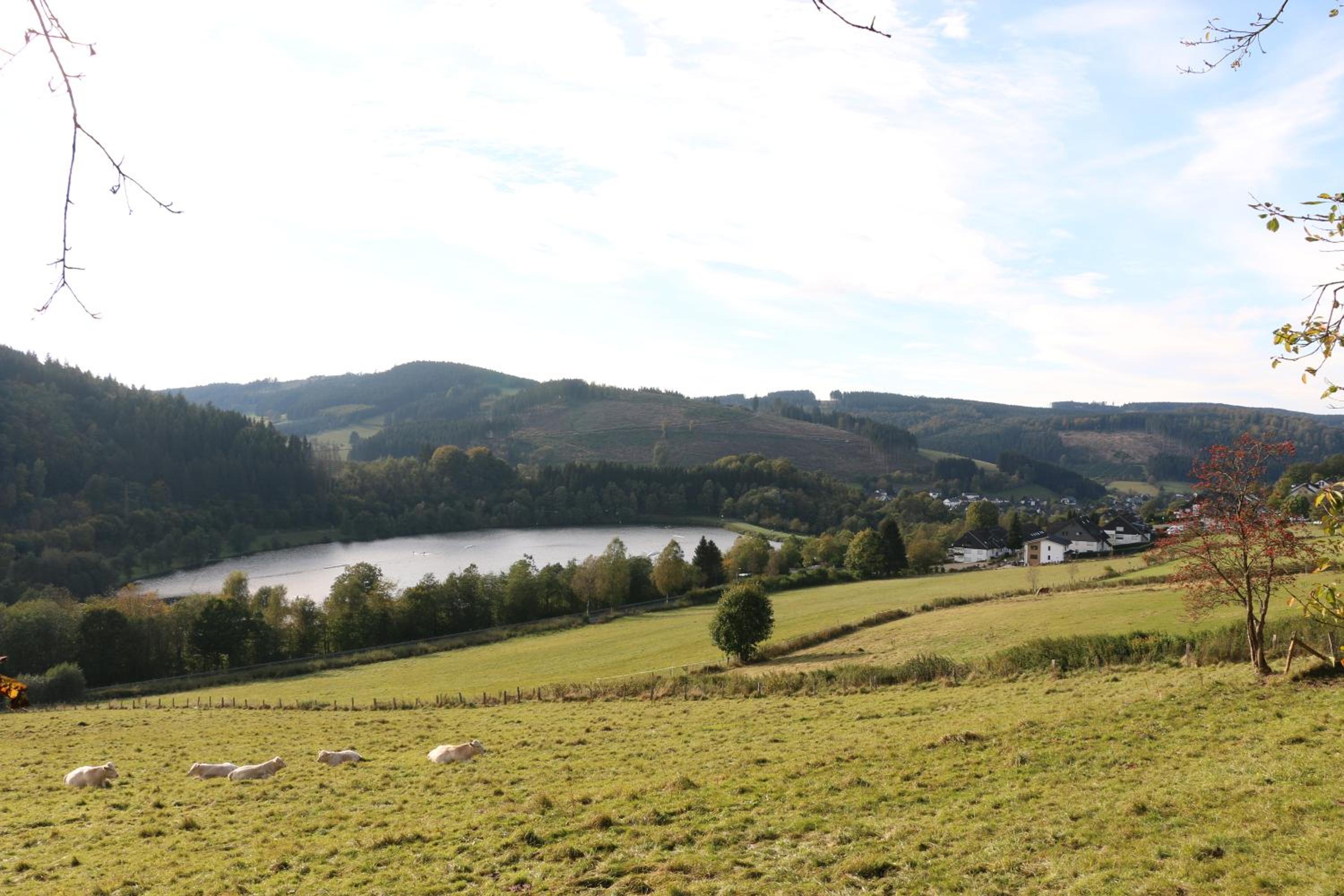Fewo-BergSeeOase