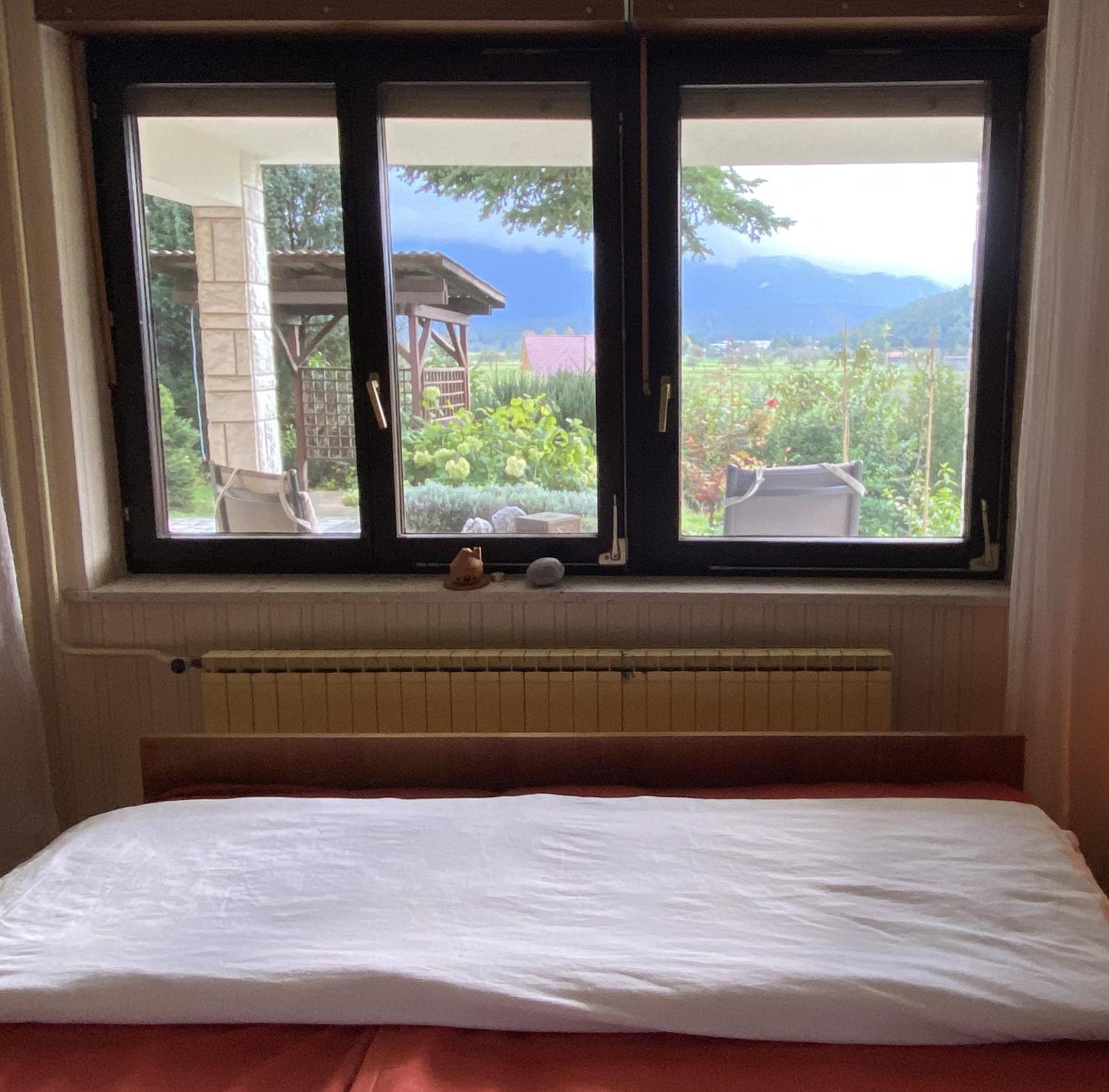 Apartma Loško view 3