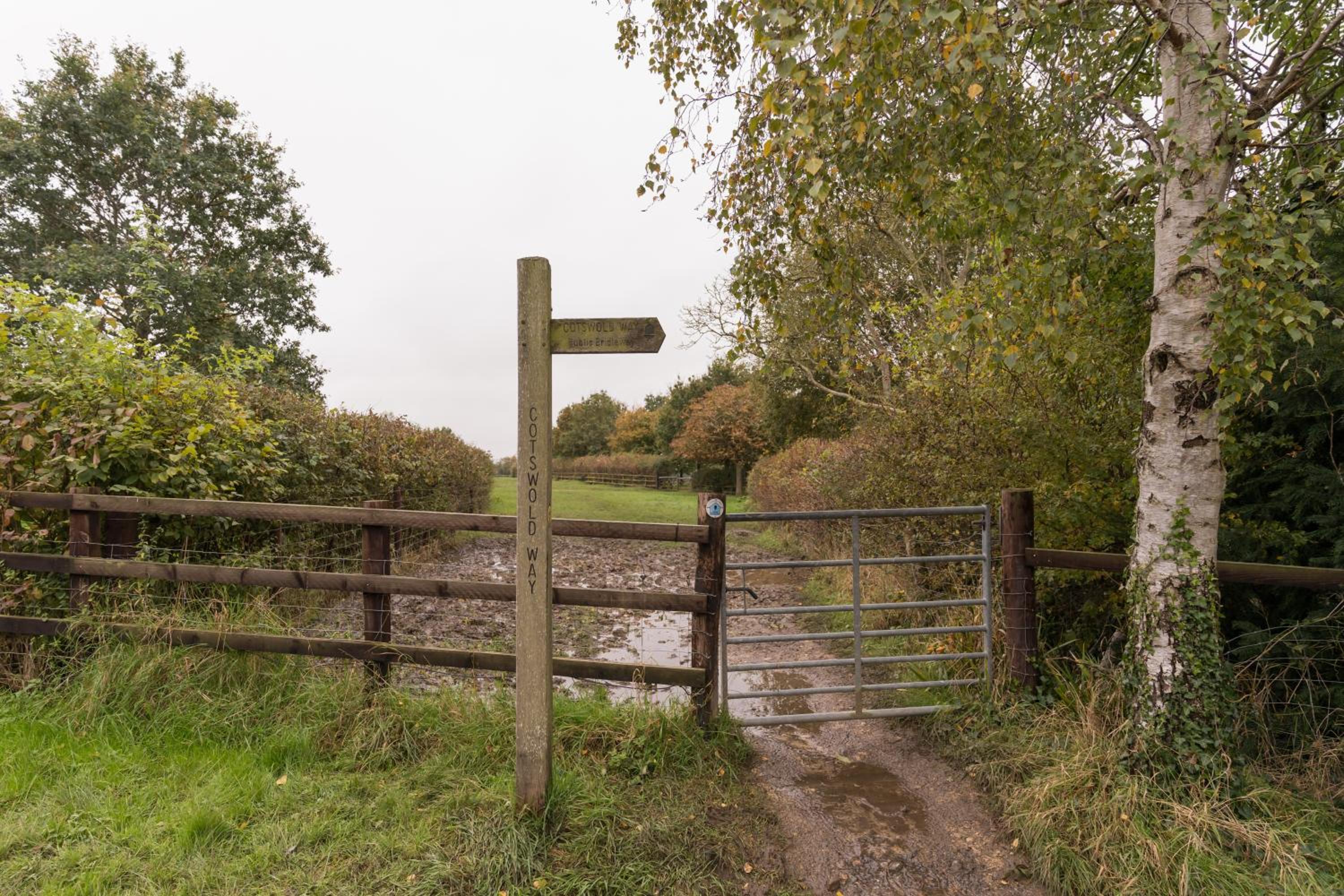 Photo 45