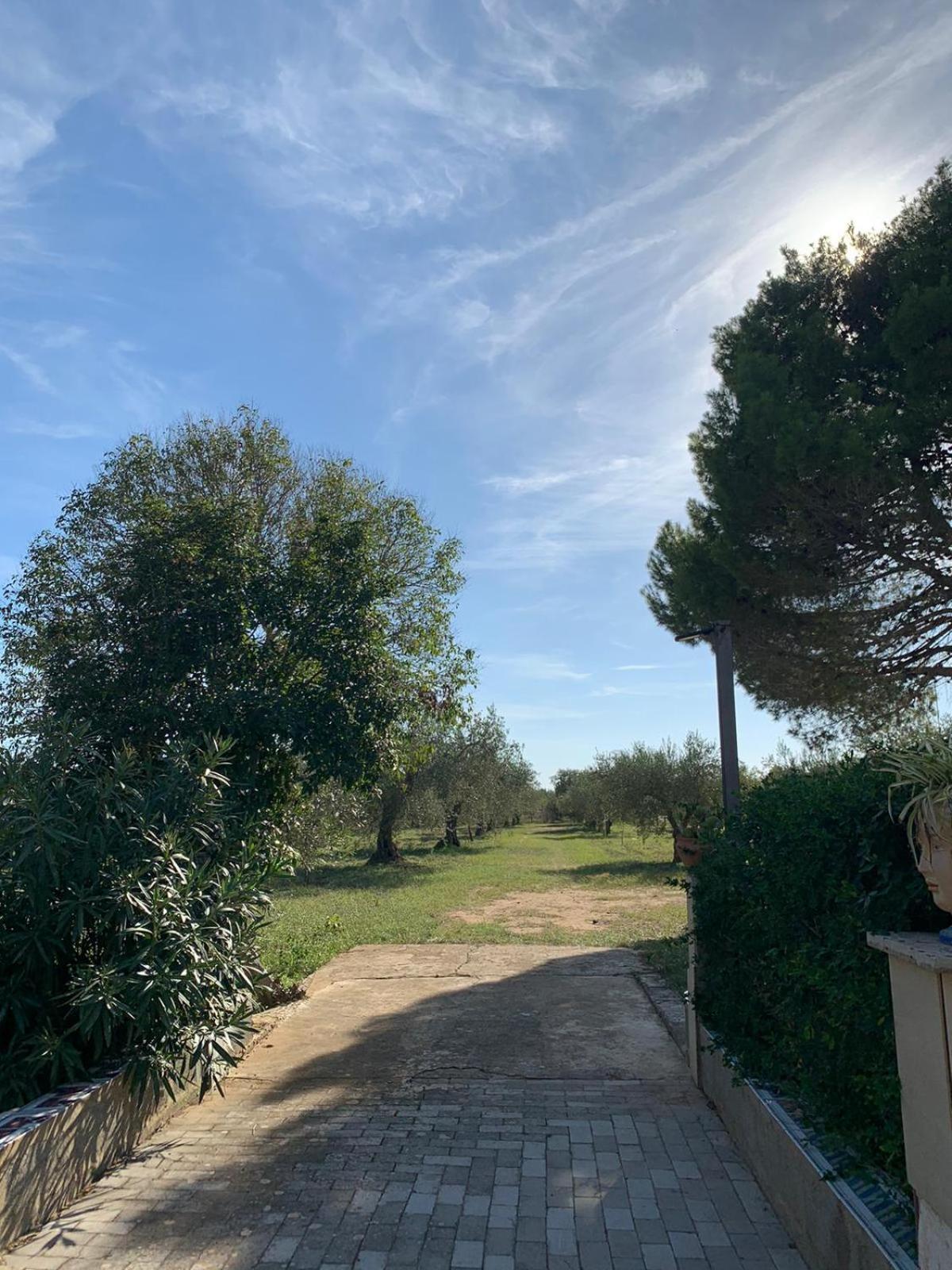 Photo 29