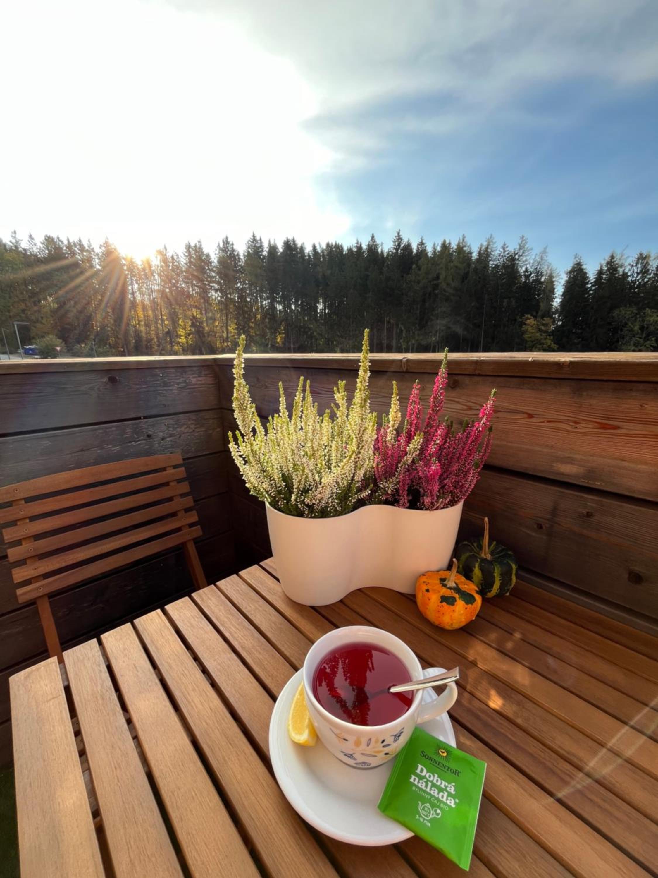 Slunečný apartmán