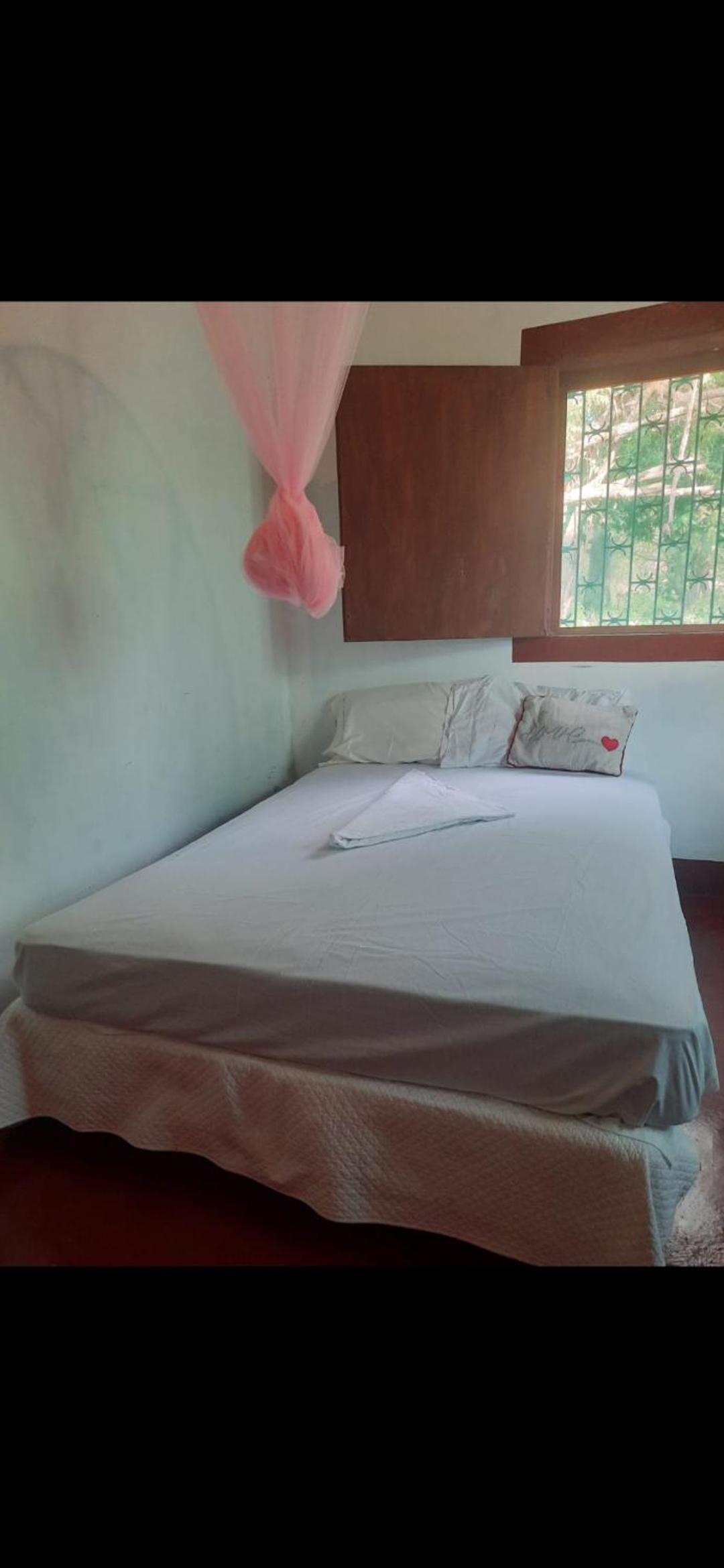 Dragonfly room