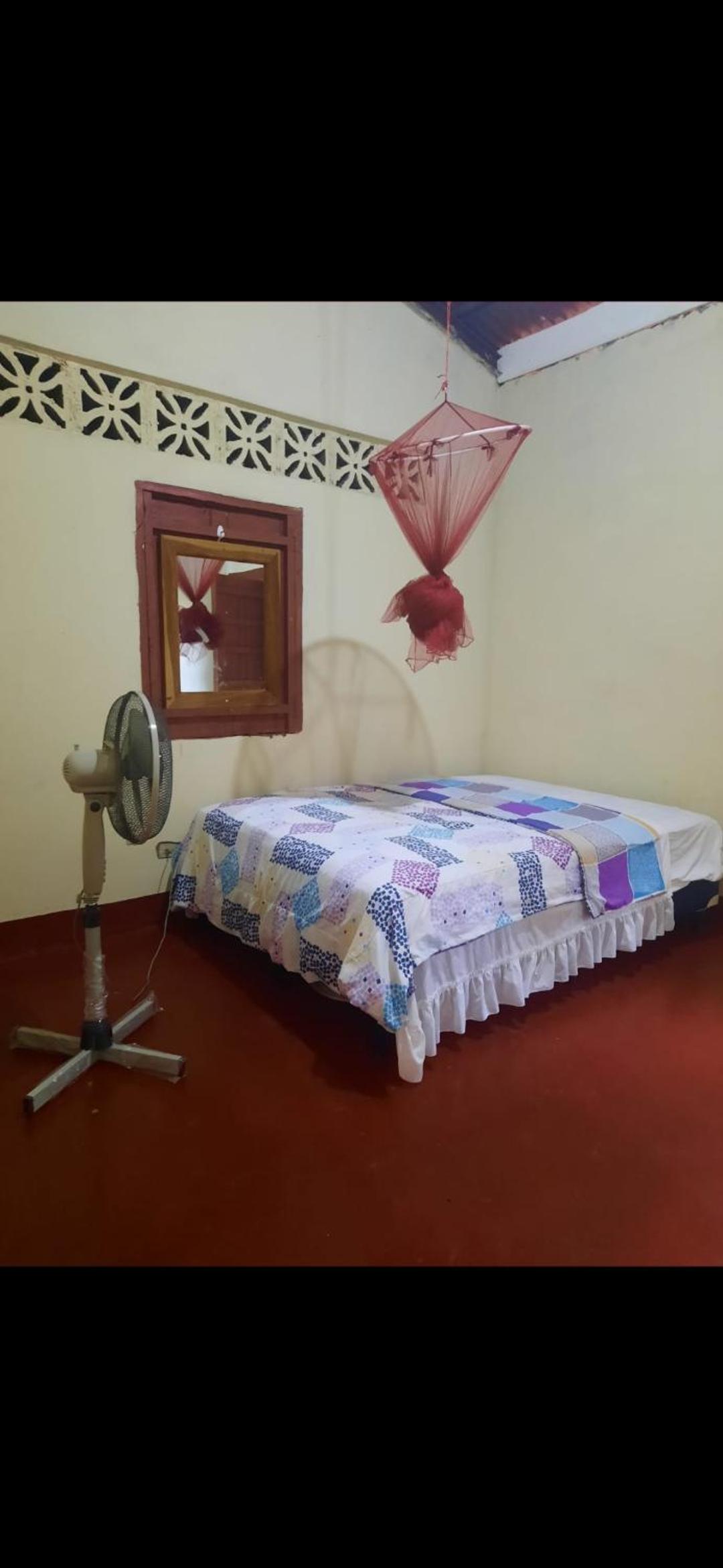 Dragonfly room