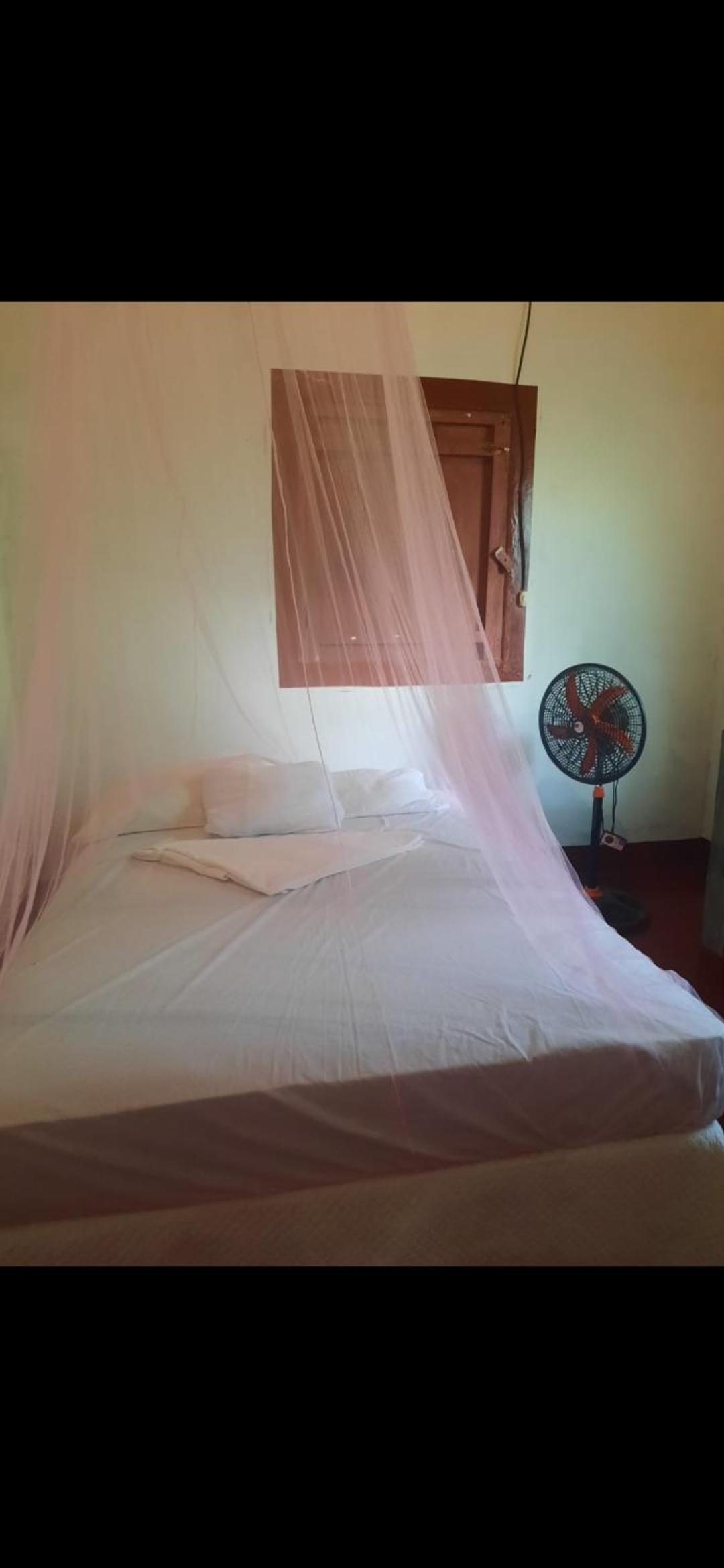 Dragonfly room