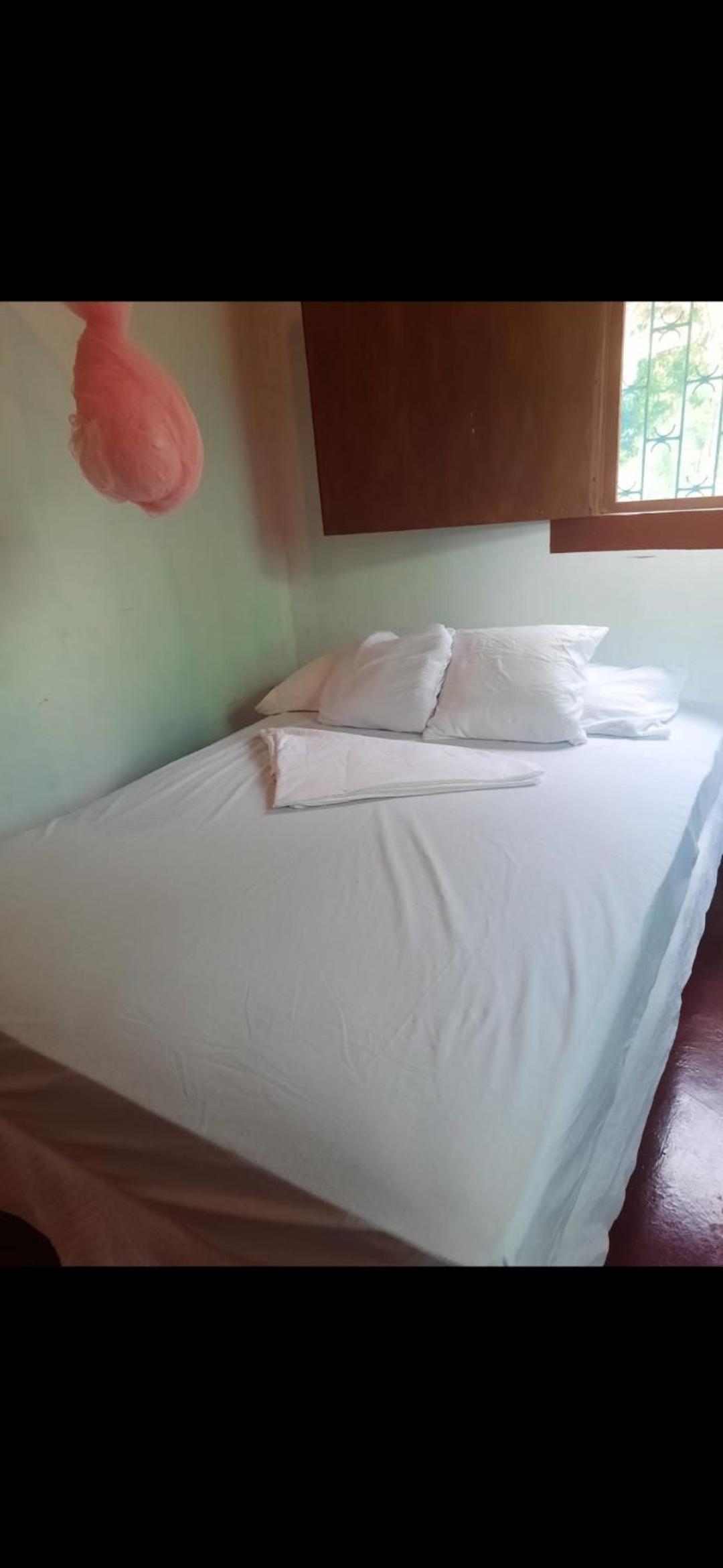 Dragonfly room