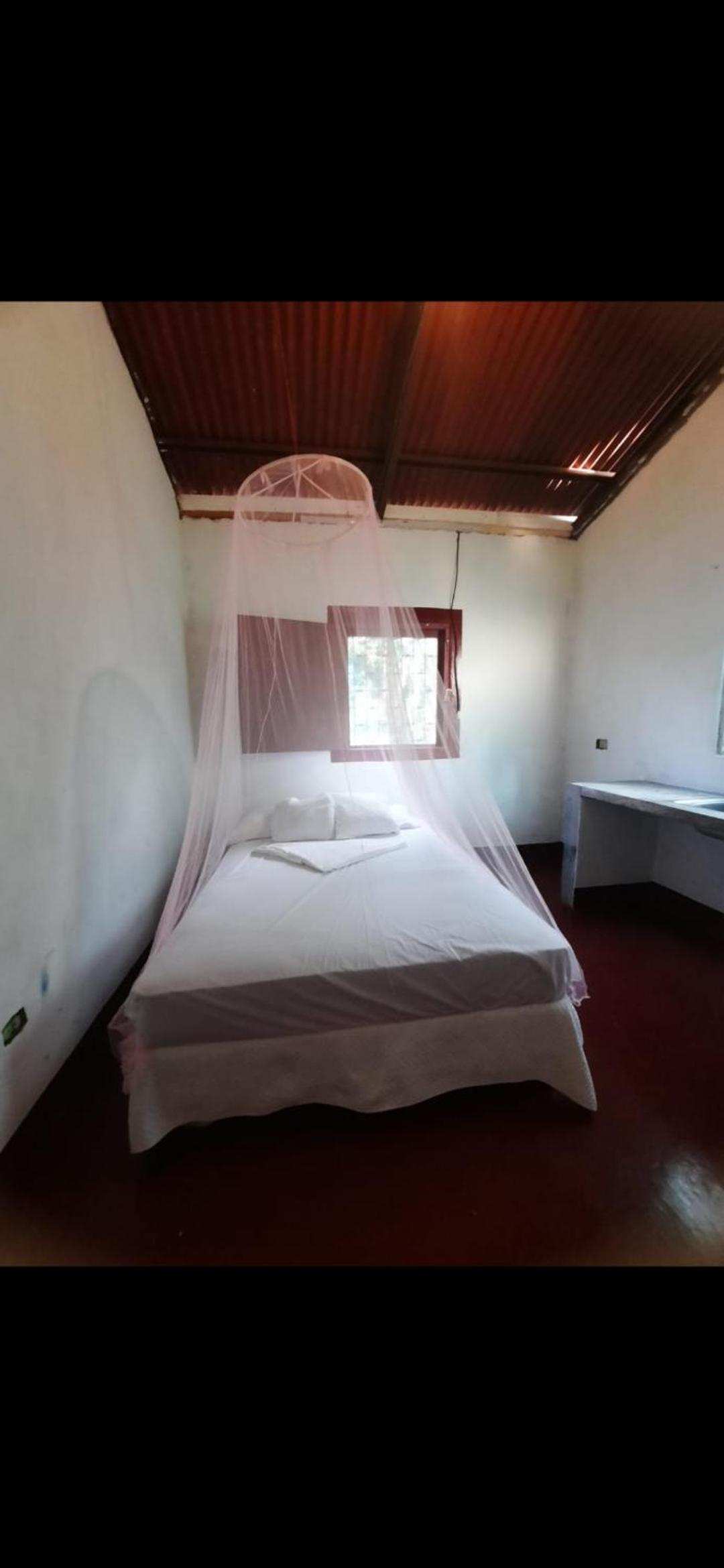 Dragonfly room