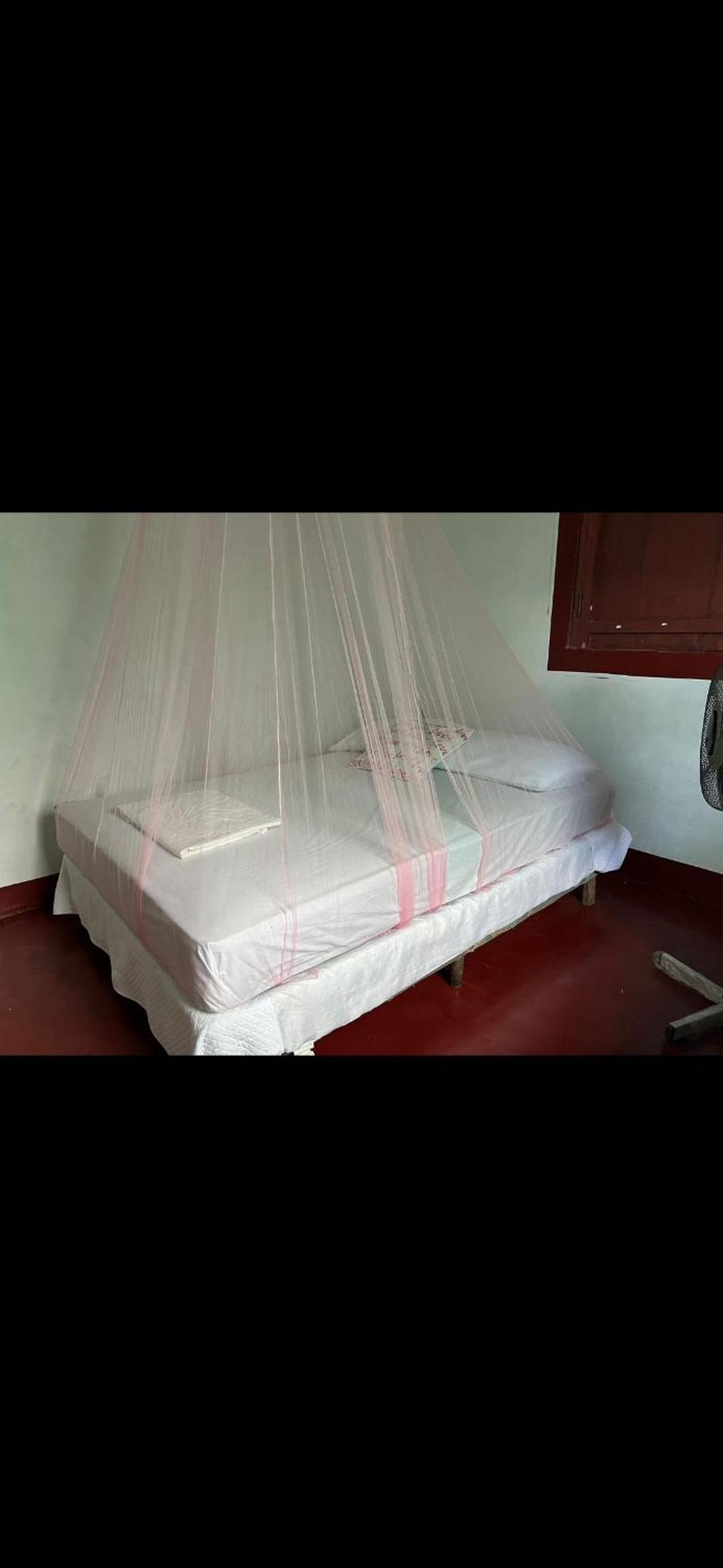 Dragonfly room