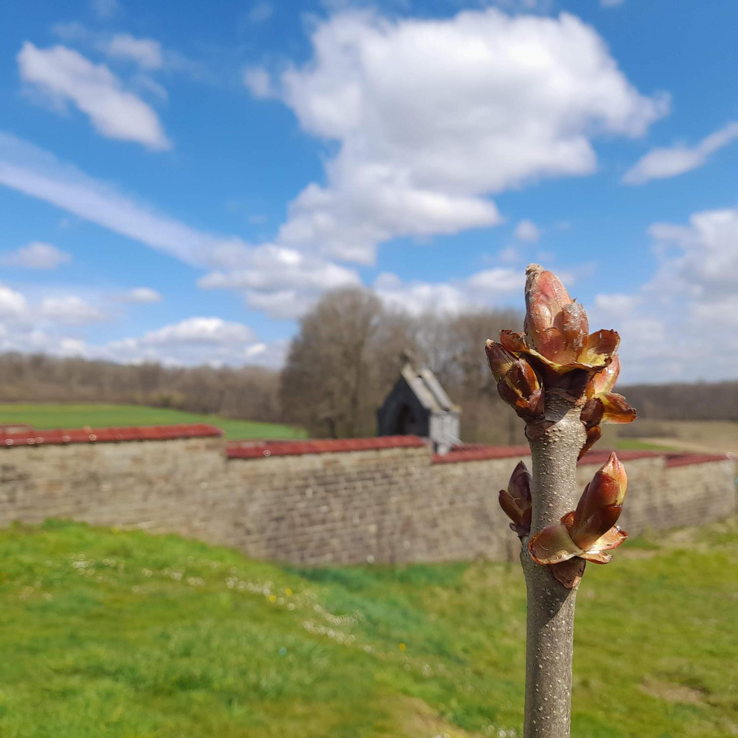 Gîte à la ferme La Petite Ecole 14 personnes