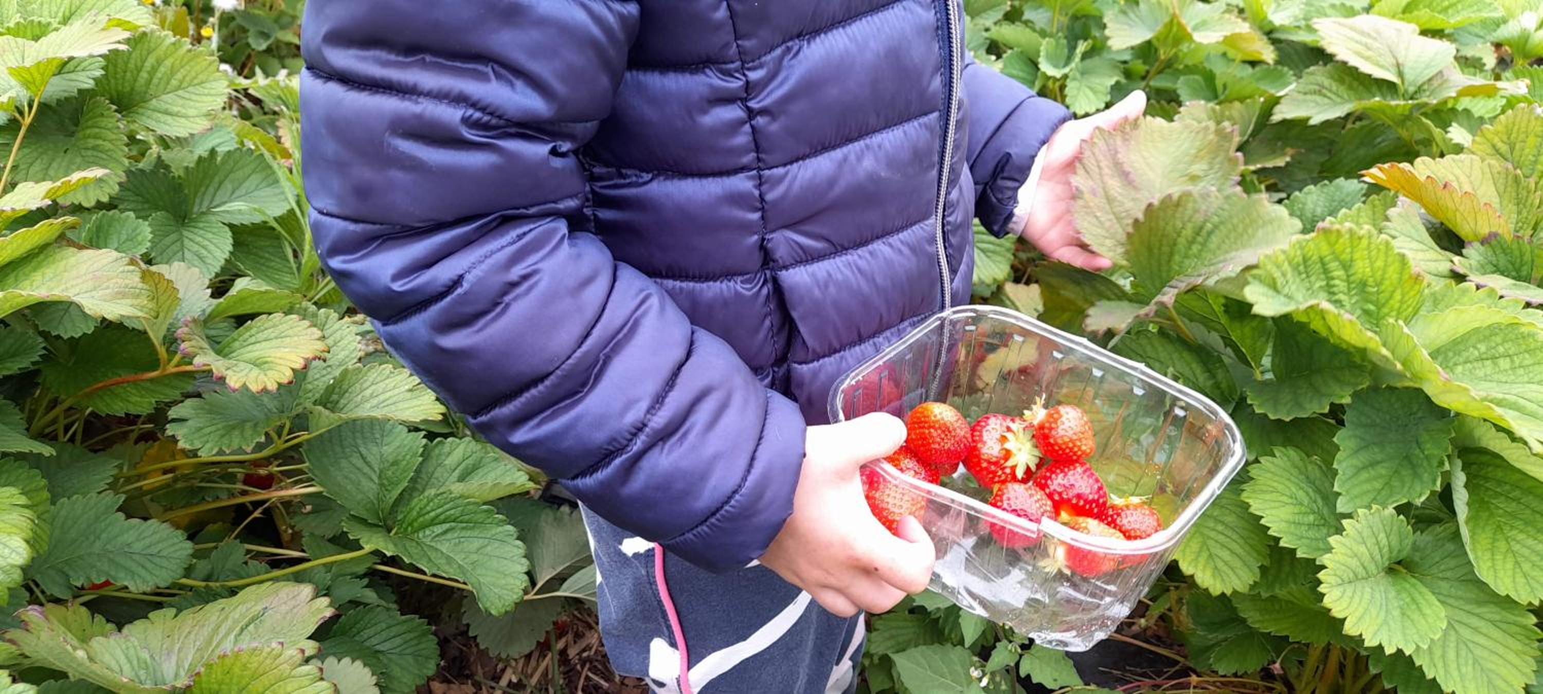 Gîte à la ferme La Petite Ecole 14 personnes