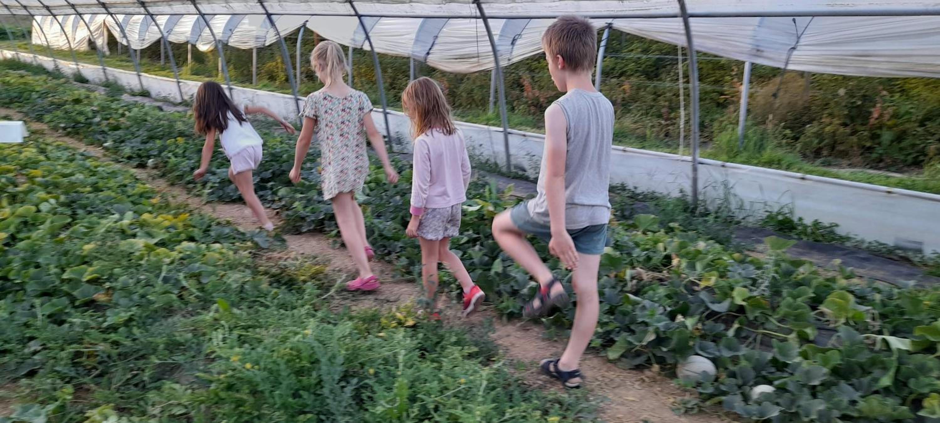 Gîte à la ferme La Petite Ecole 14 personnes