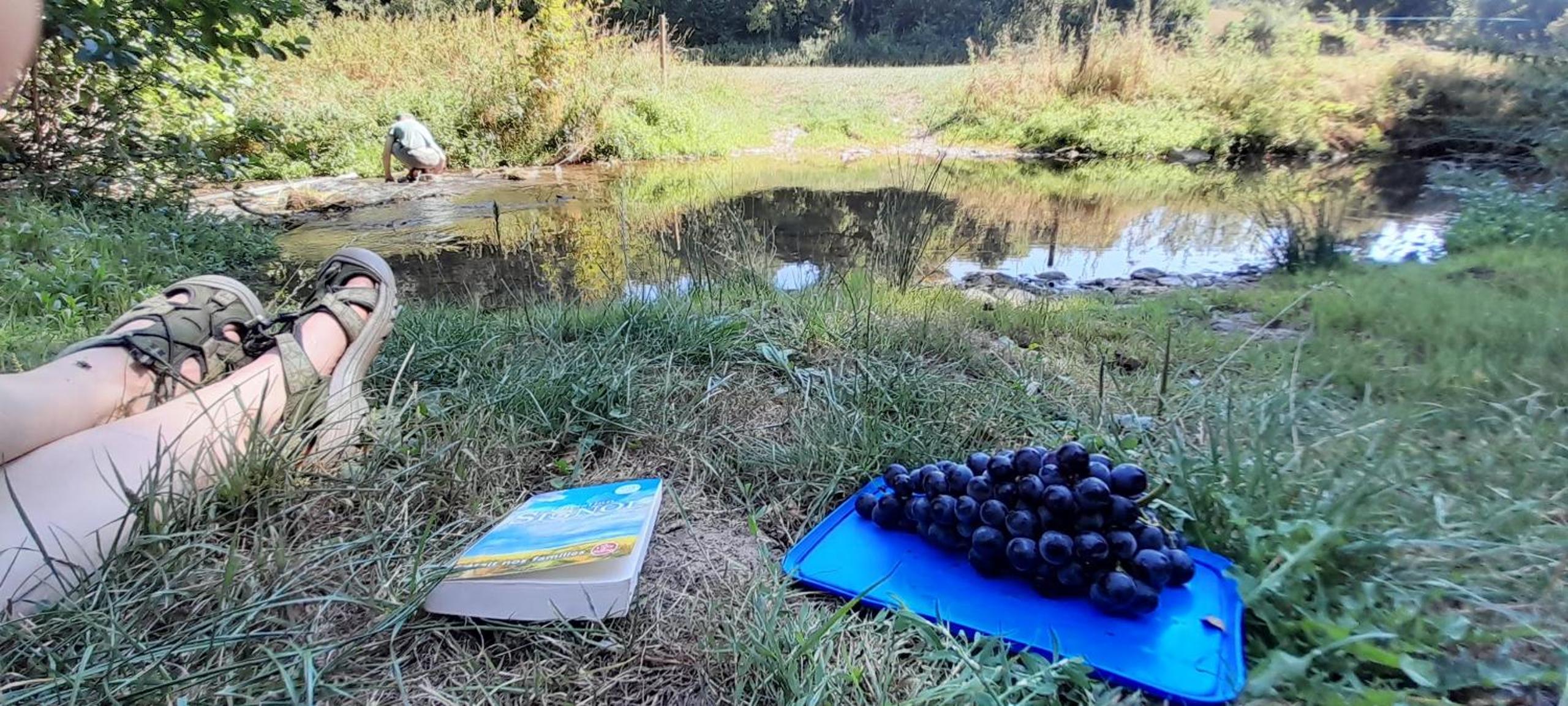 Gîte à la ferme La Petite Ecole 14 personnes