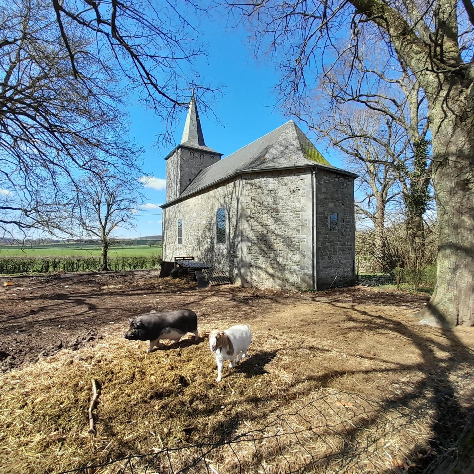 Gîte à la ferme La Petite Ecole 14 personnes