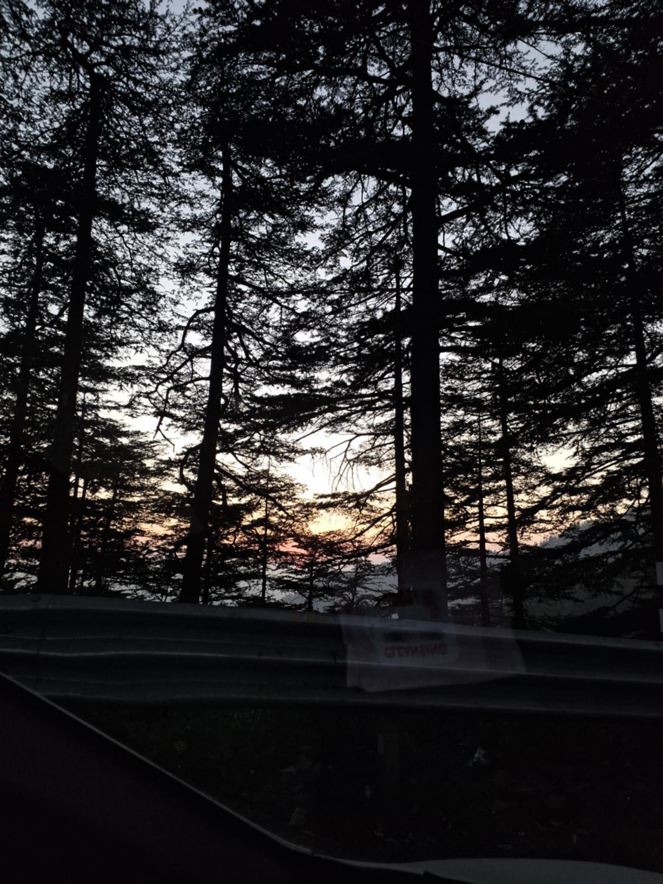 Anand Niketan Homestay Shimla
