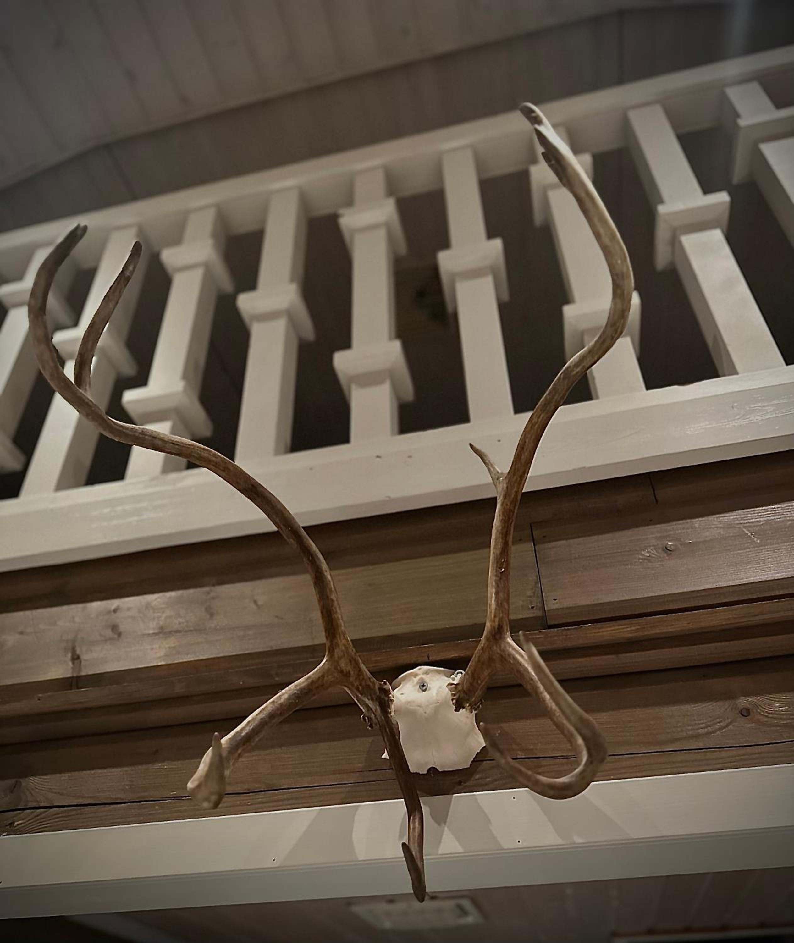 ReindeerCabin PoroMökki LEVI
